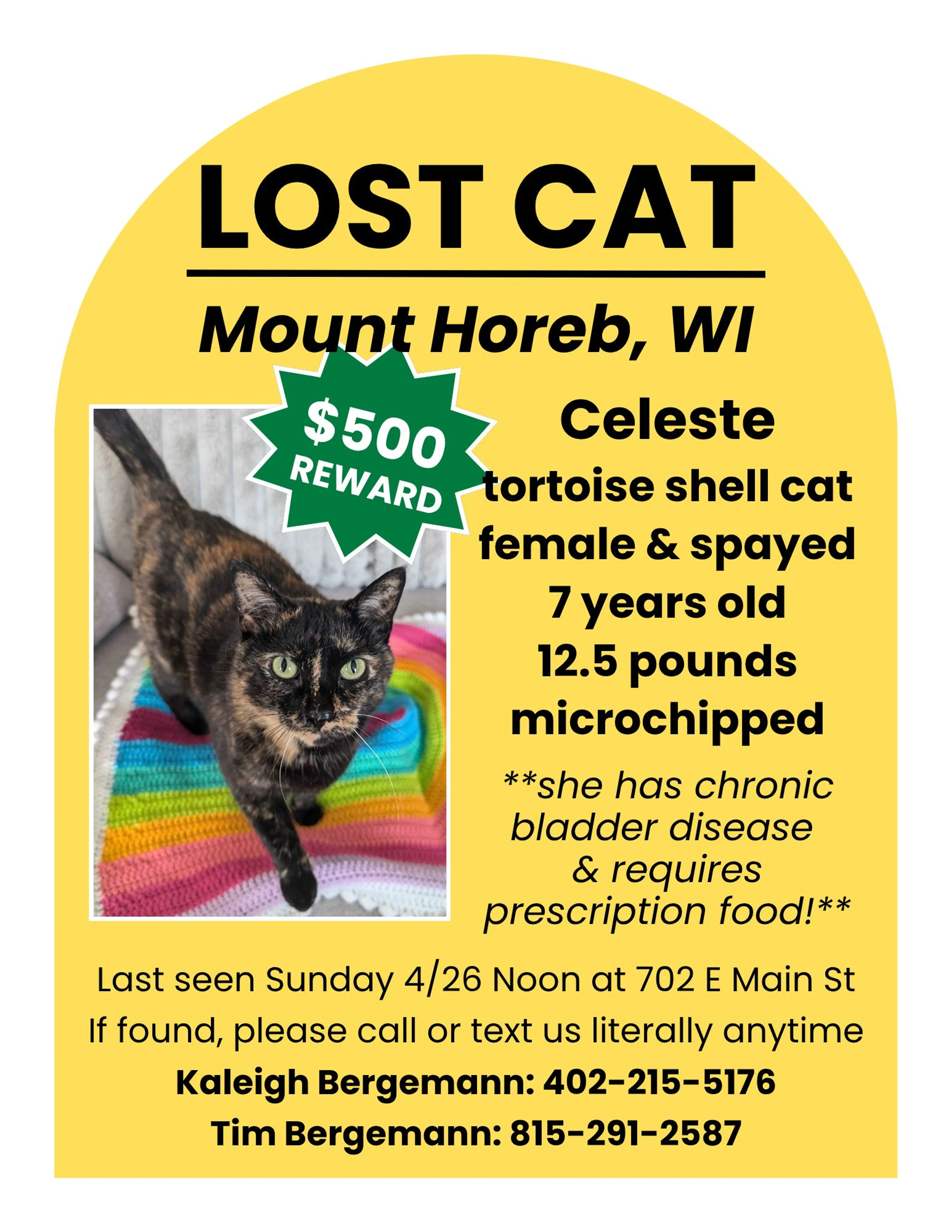 Lost pet-3
