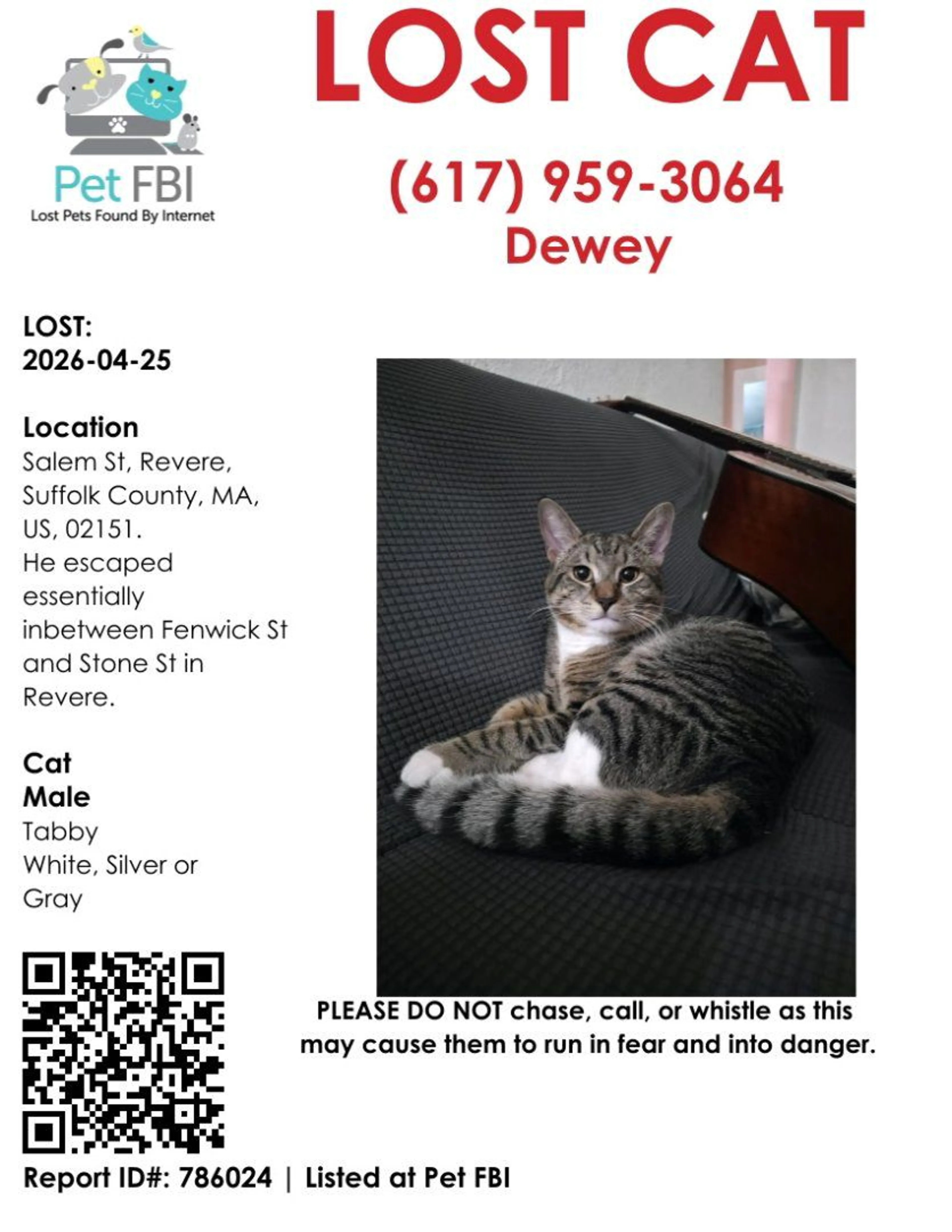 Lost pet