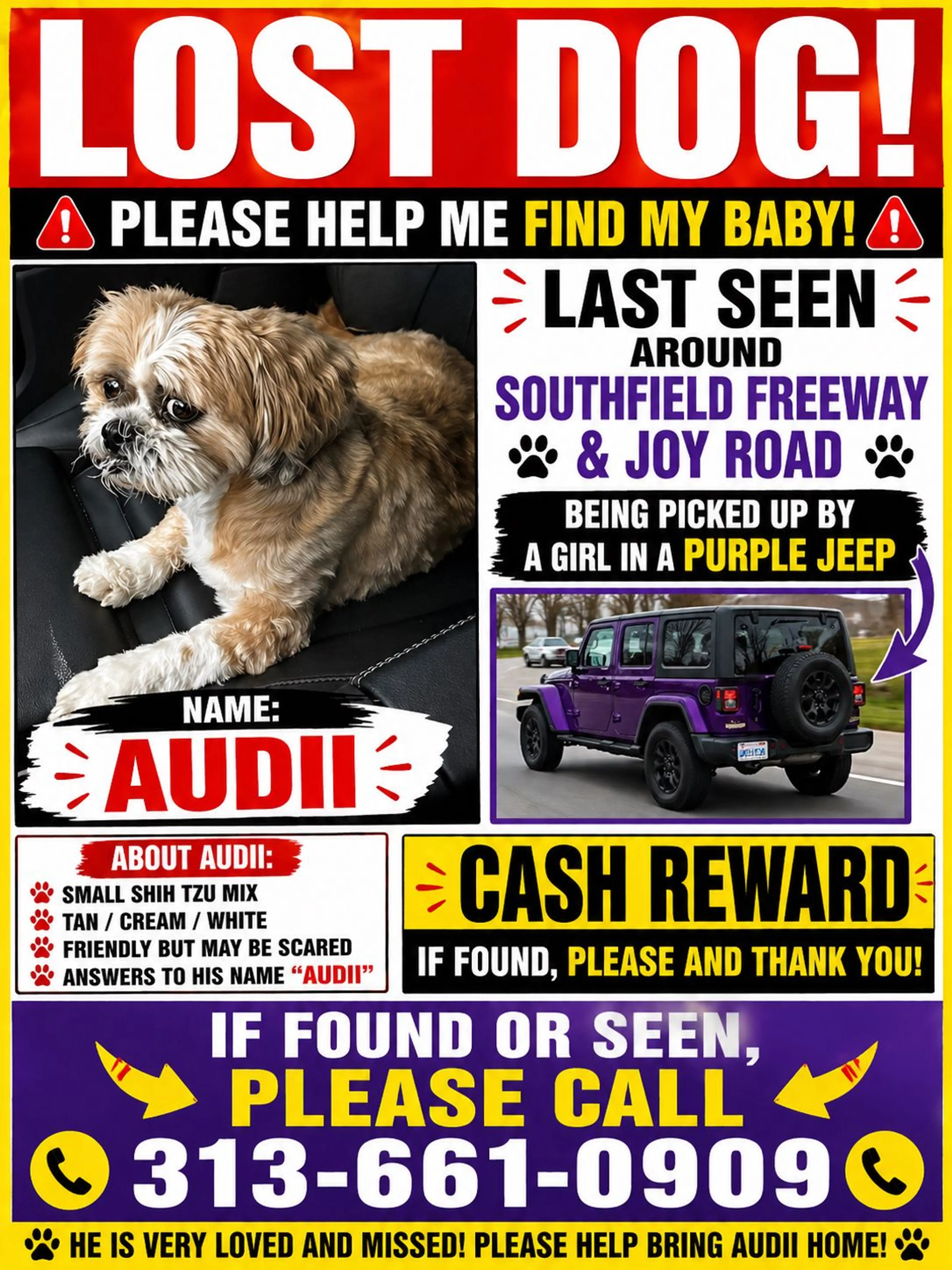 Lost pet