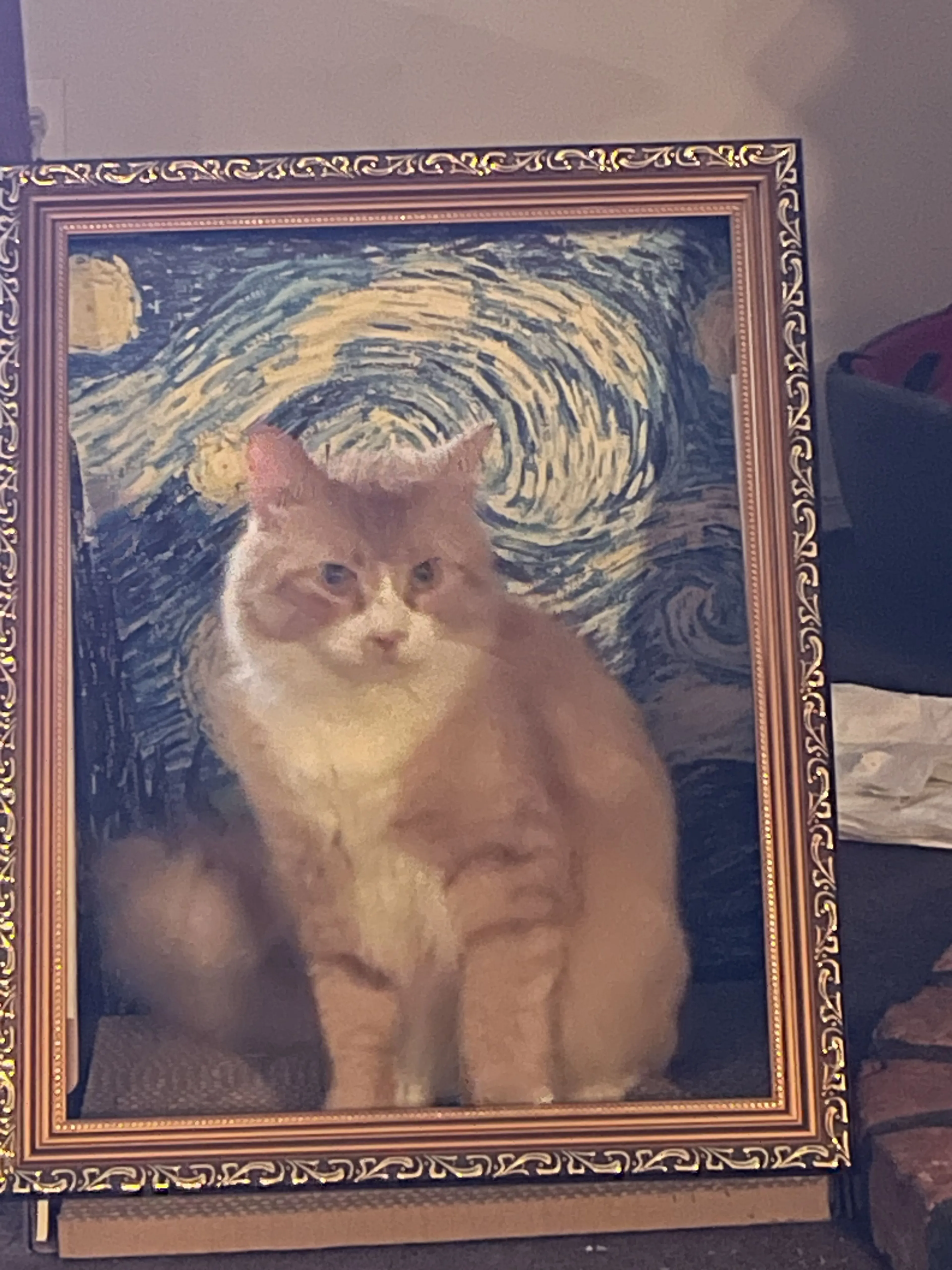 Lost pet-2