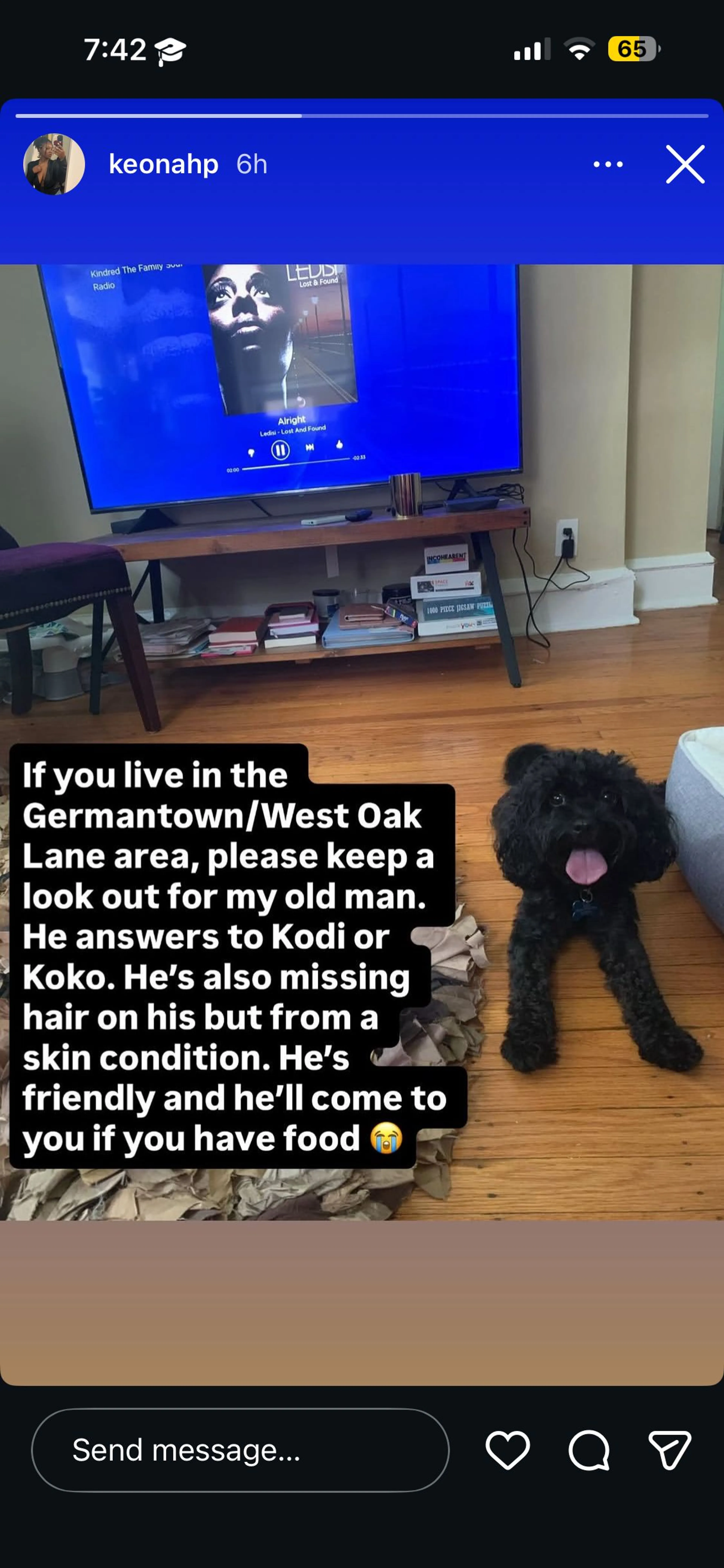 Lost pet