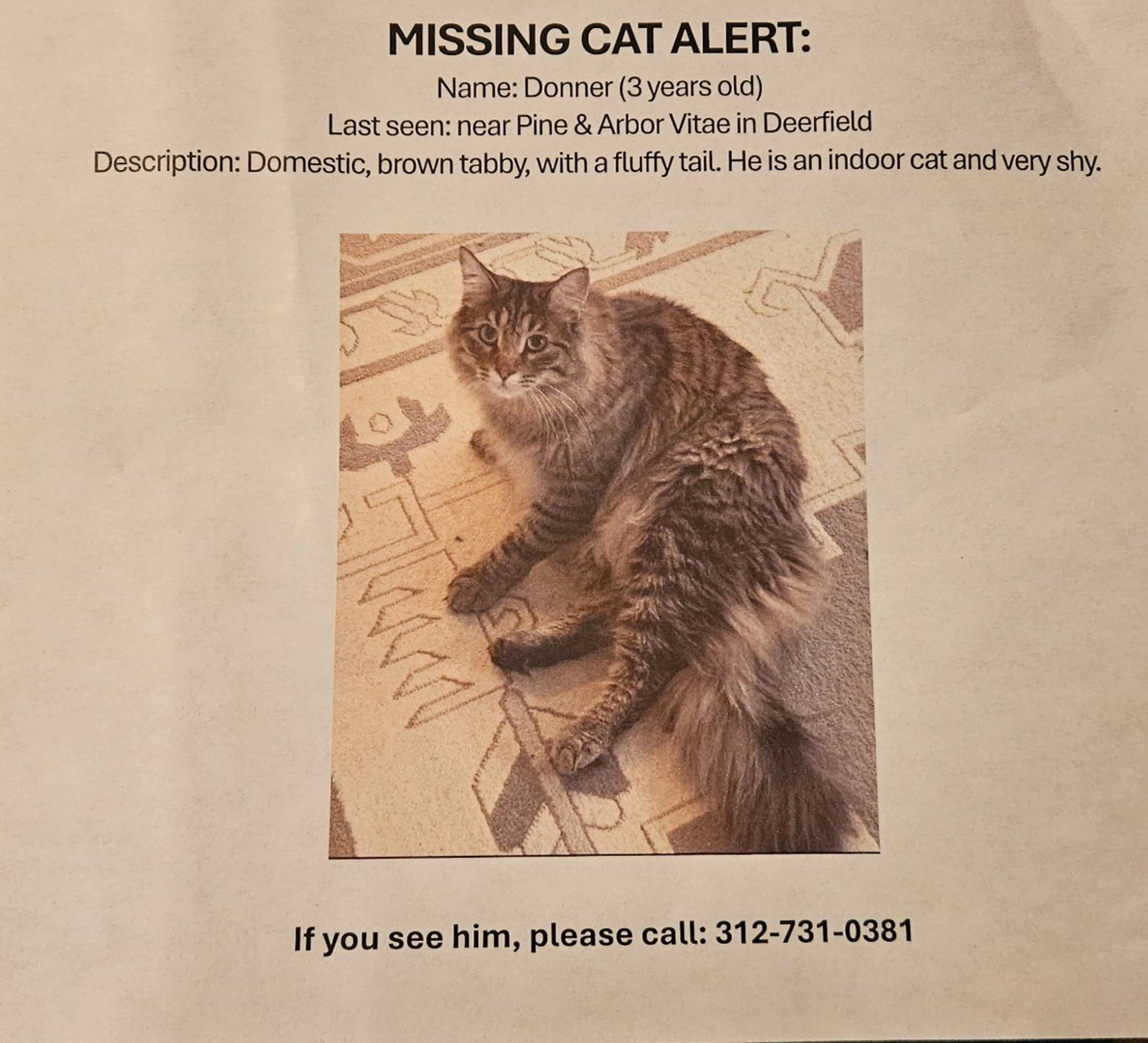 Lost pet