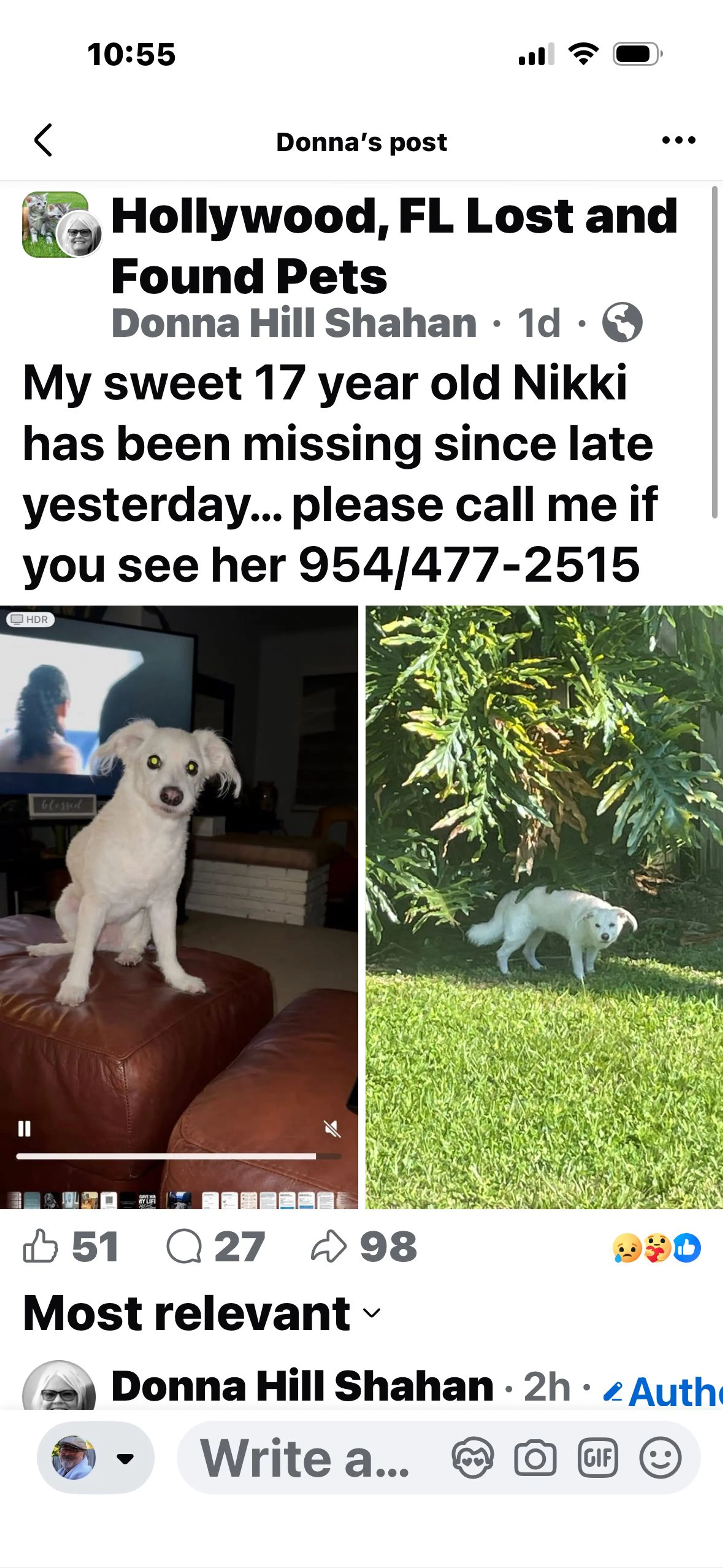 Lost pet