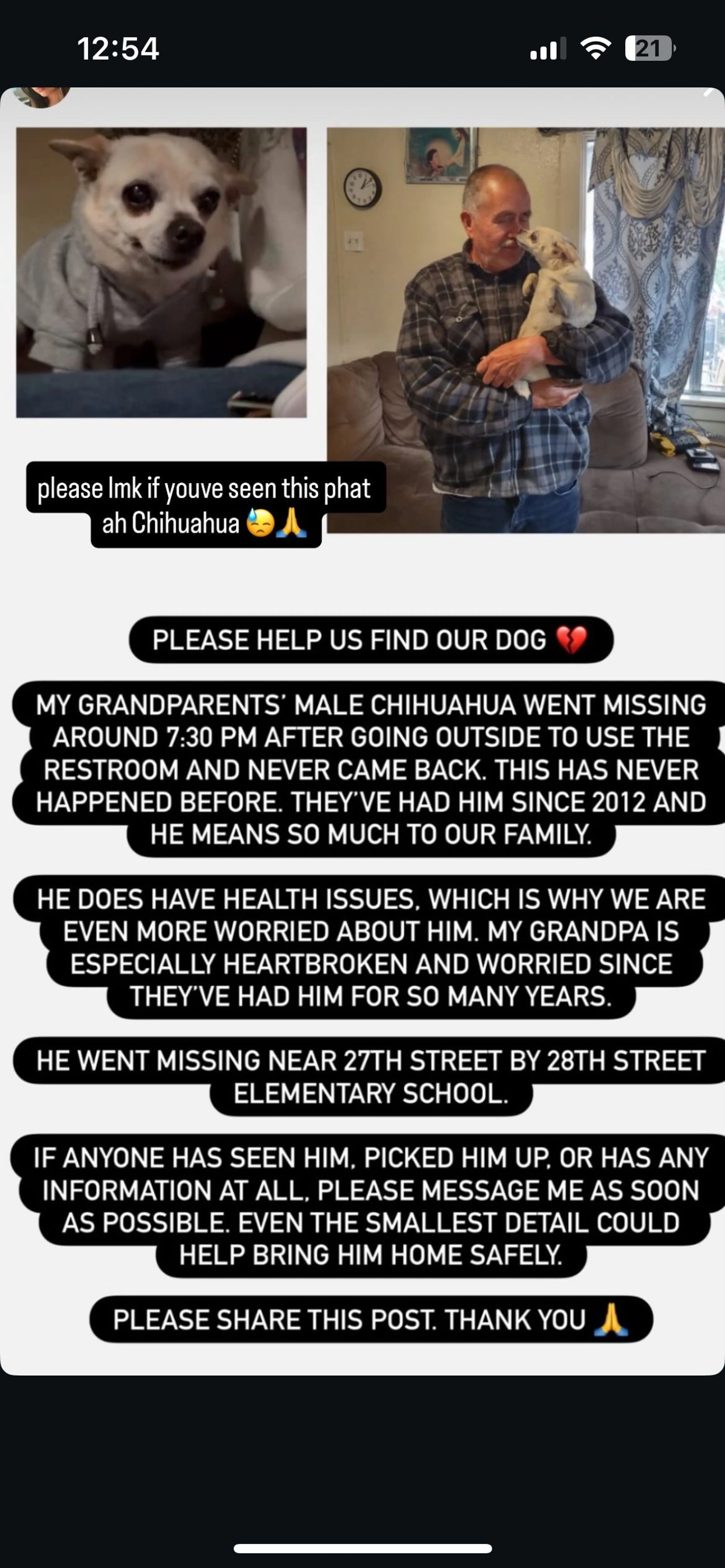 Lost pet