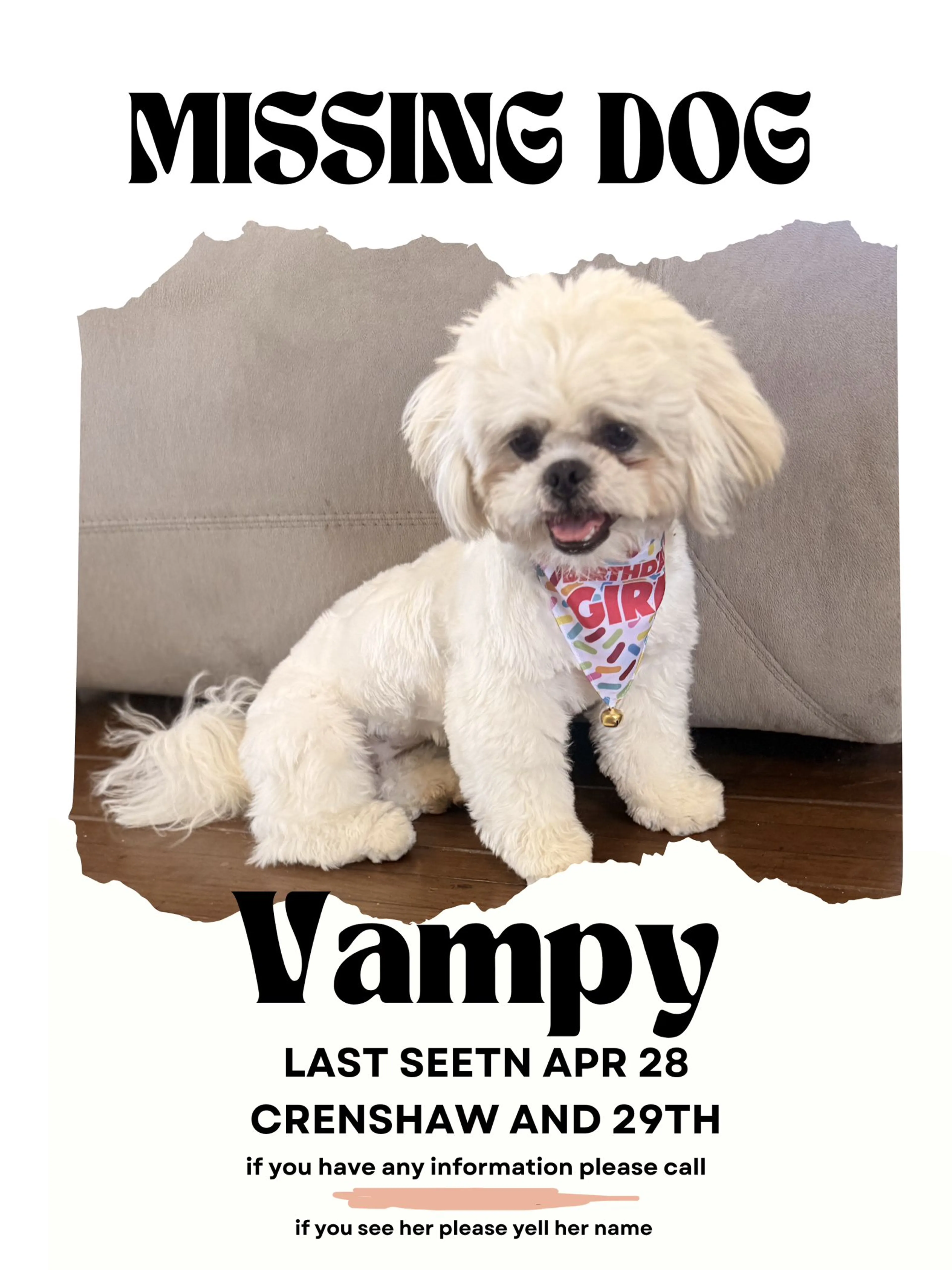 Lost pet