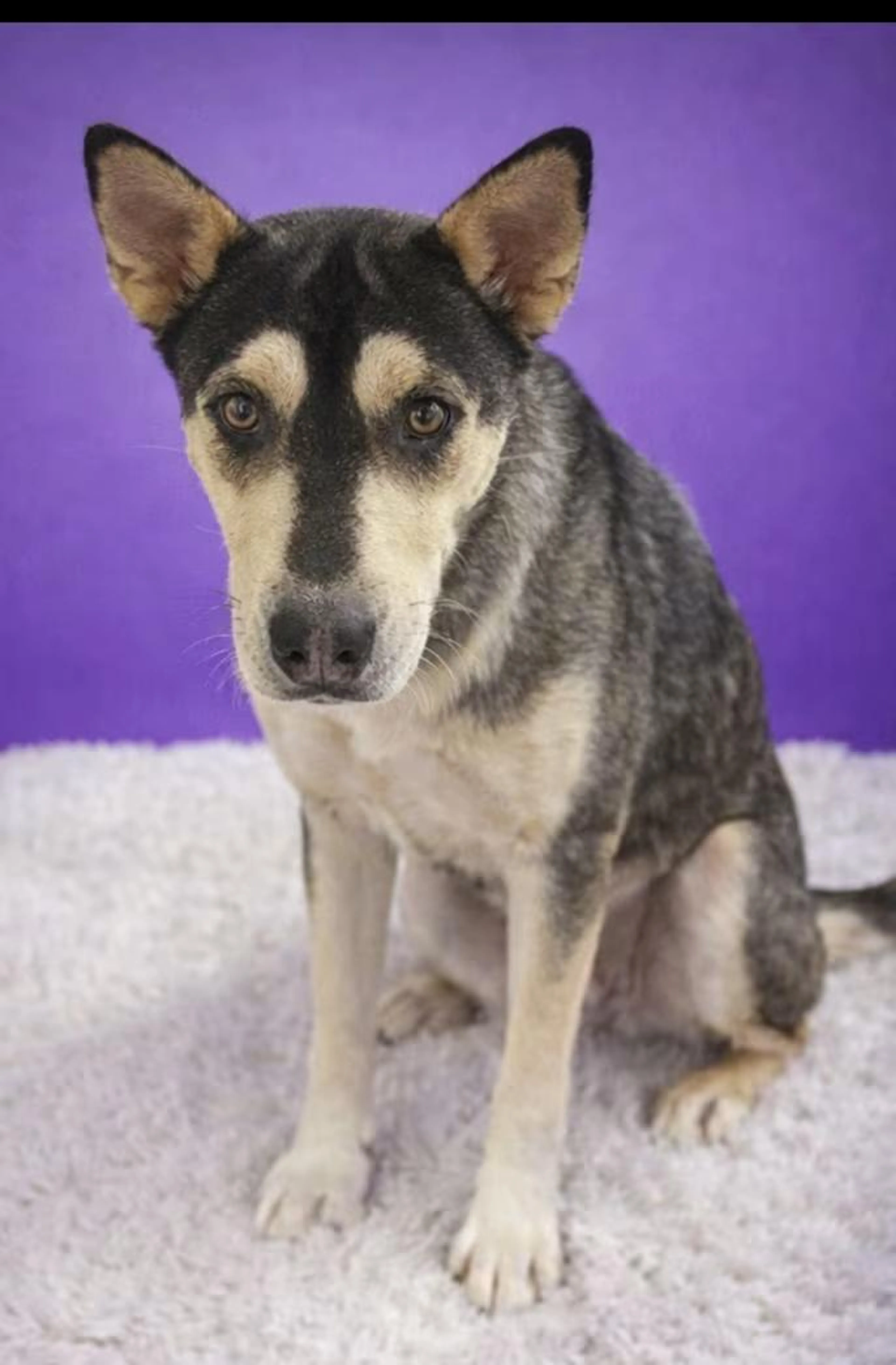 -1