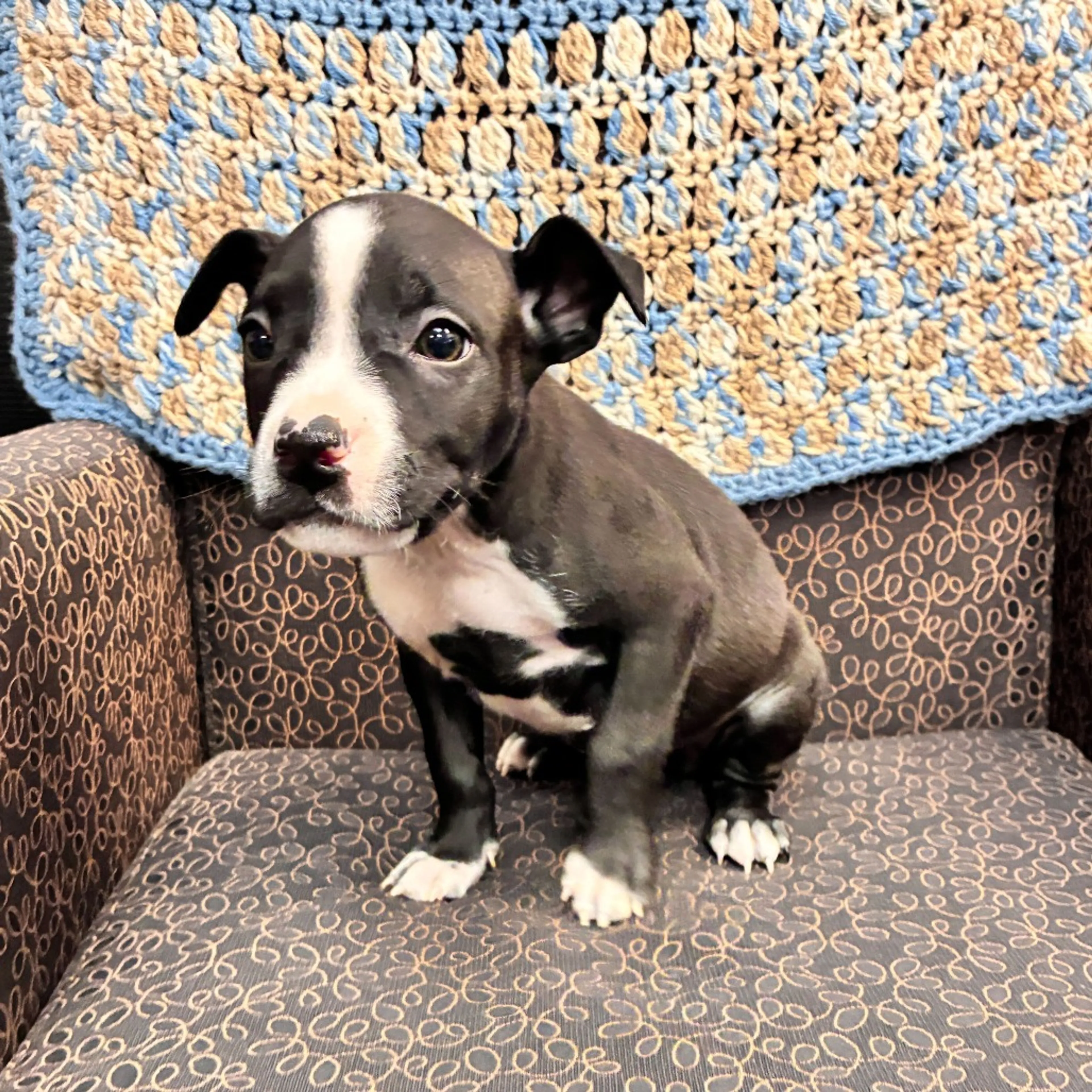 -1