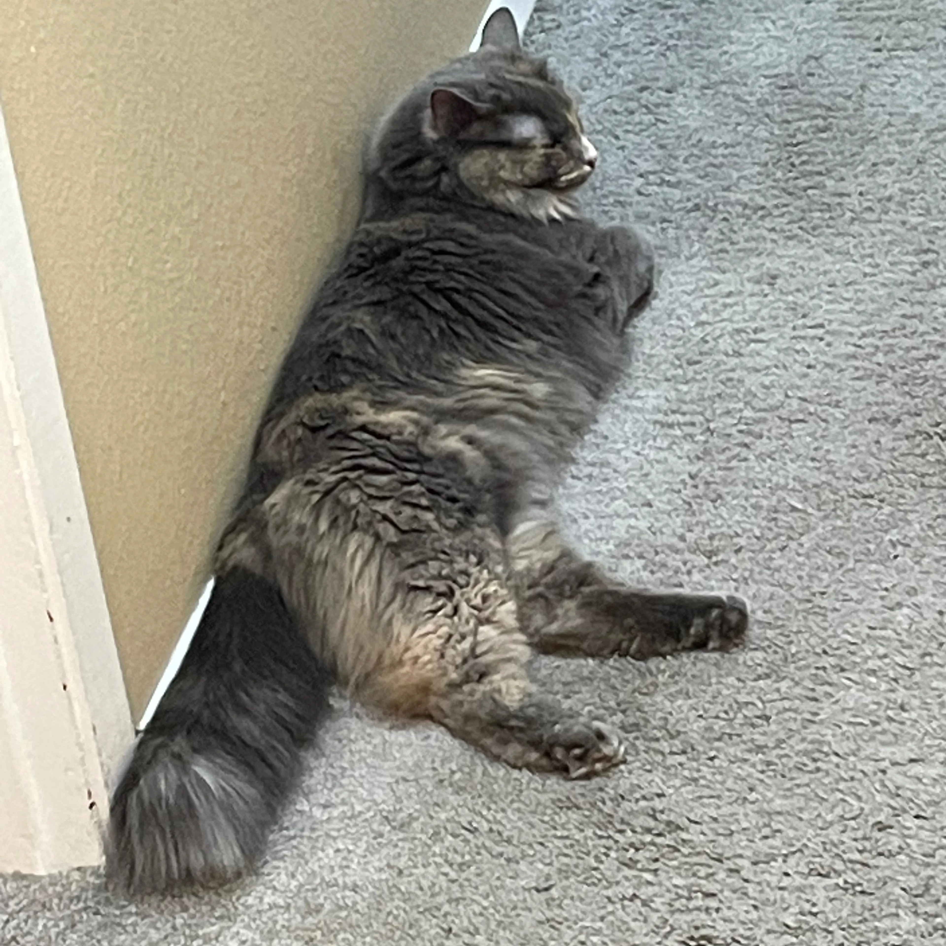 -2