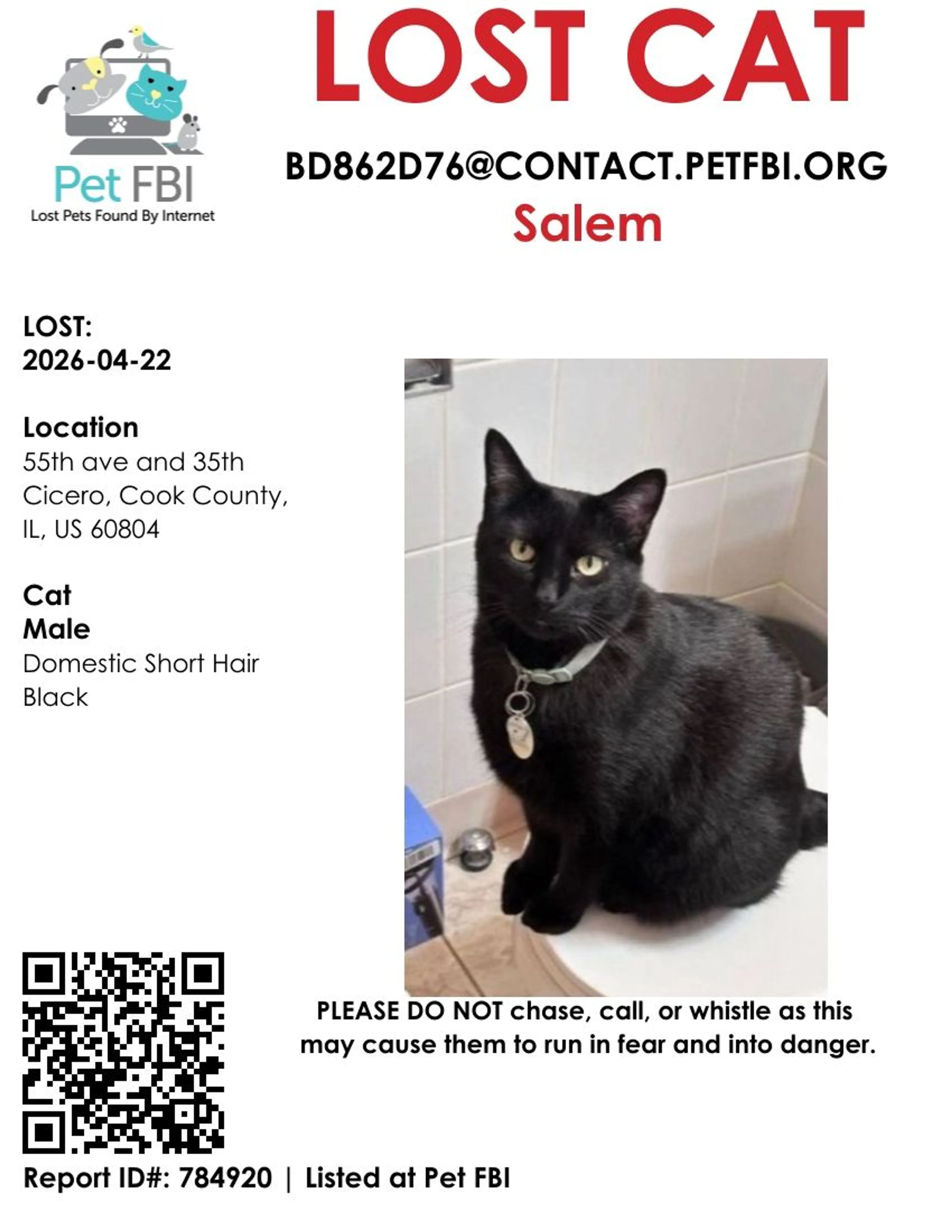 Lost pet