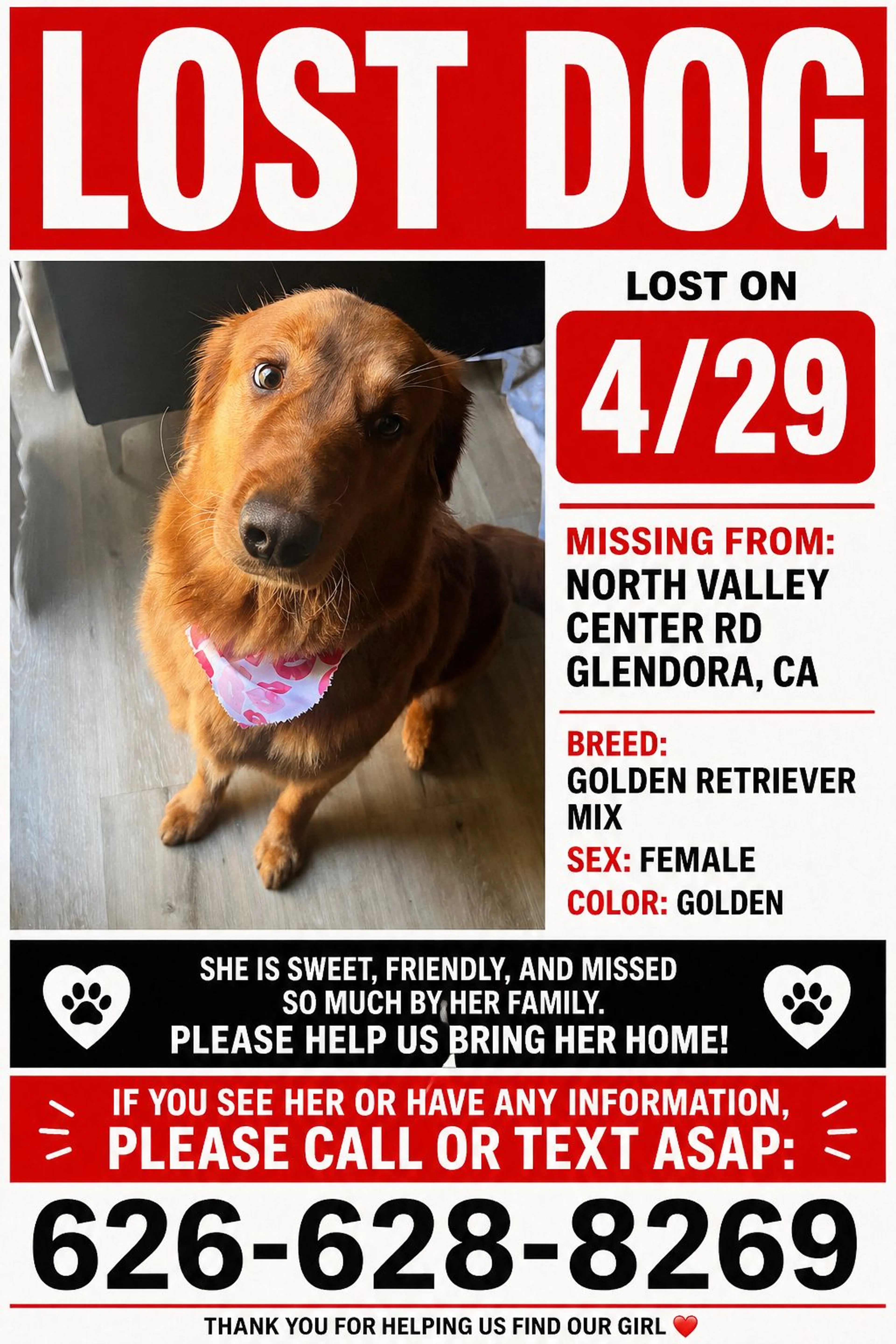 Lost pet