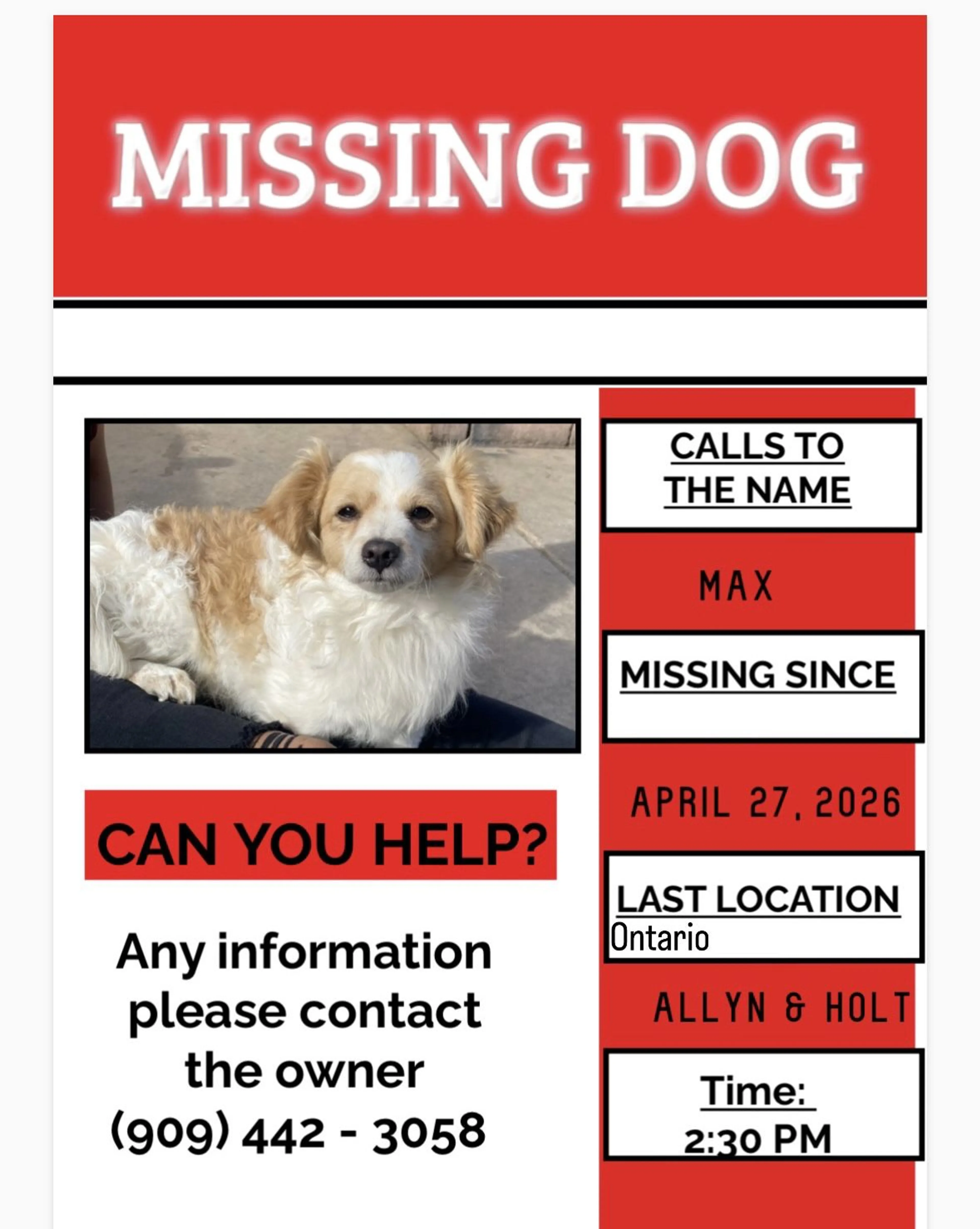 Lost pet-0