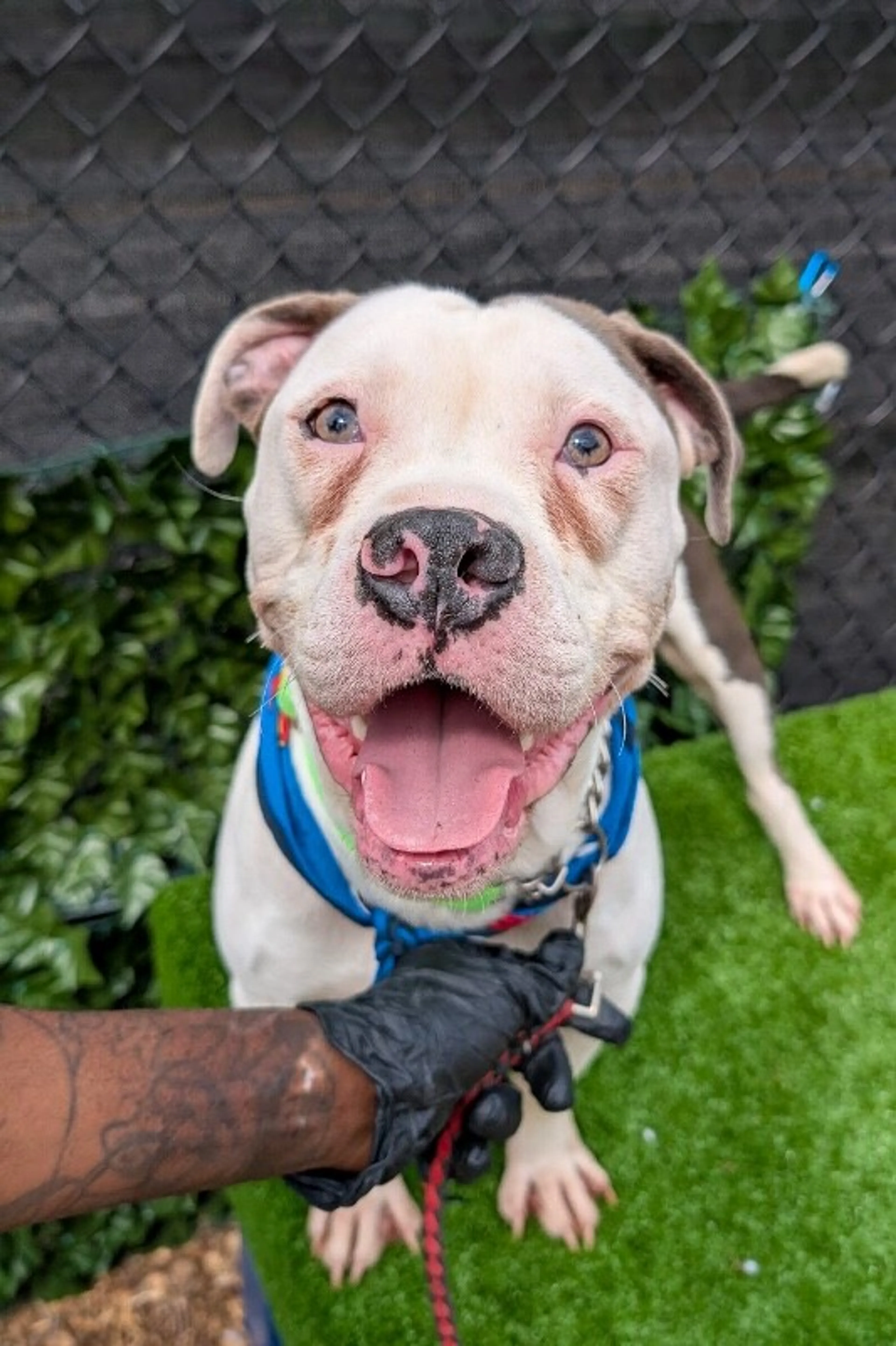 -2
