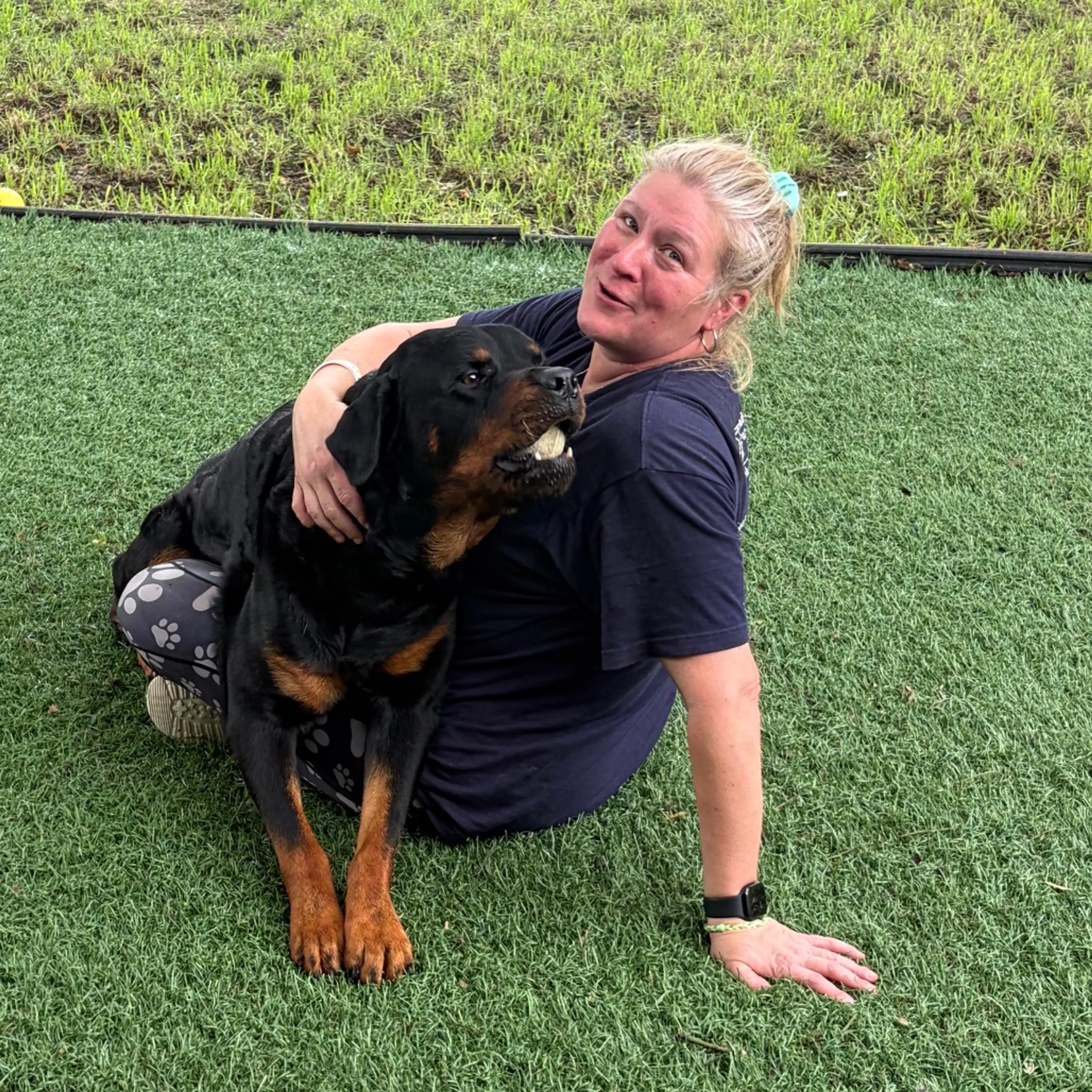 Found pet-4