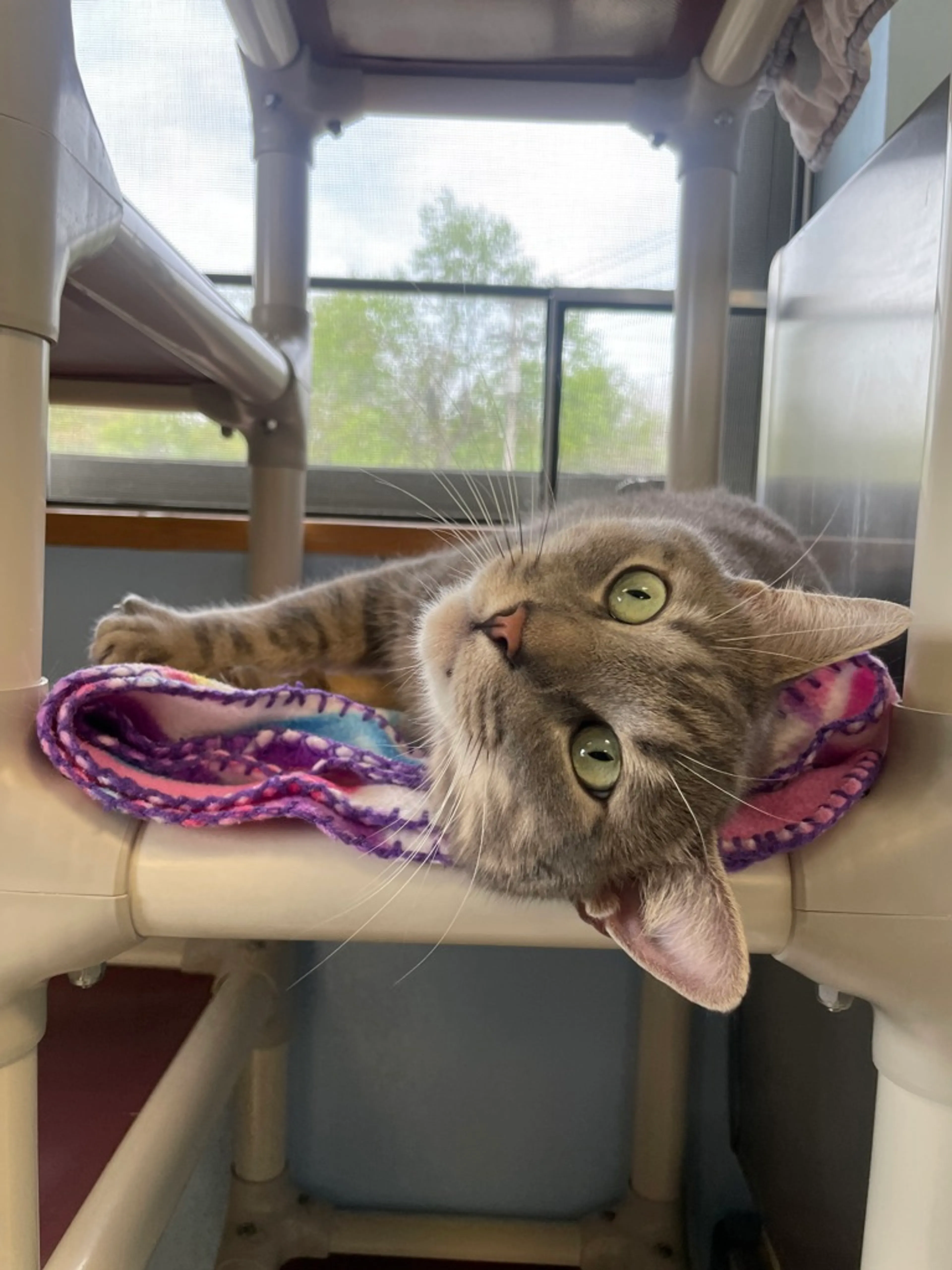 -4