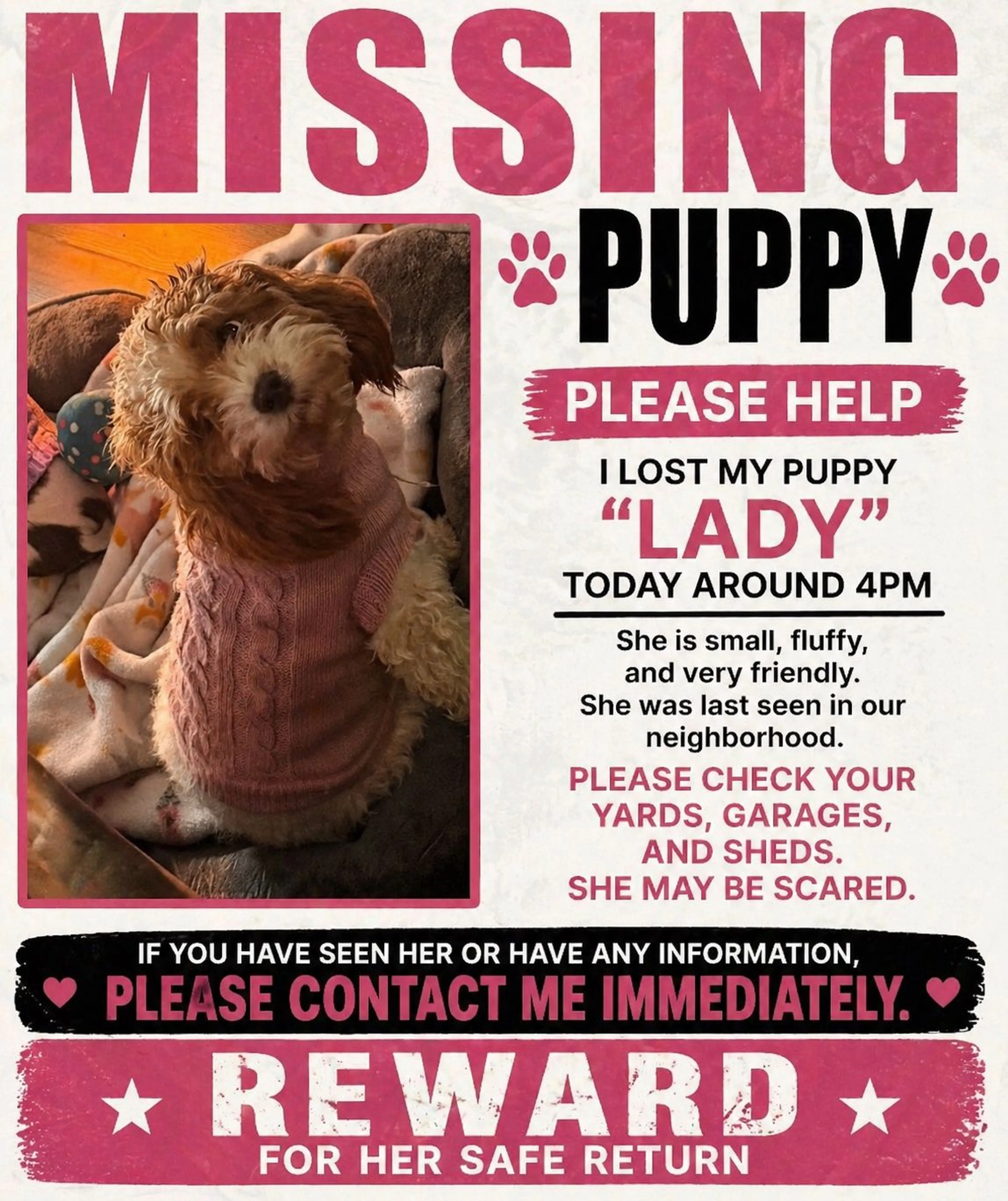Lost pet