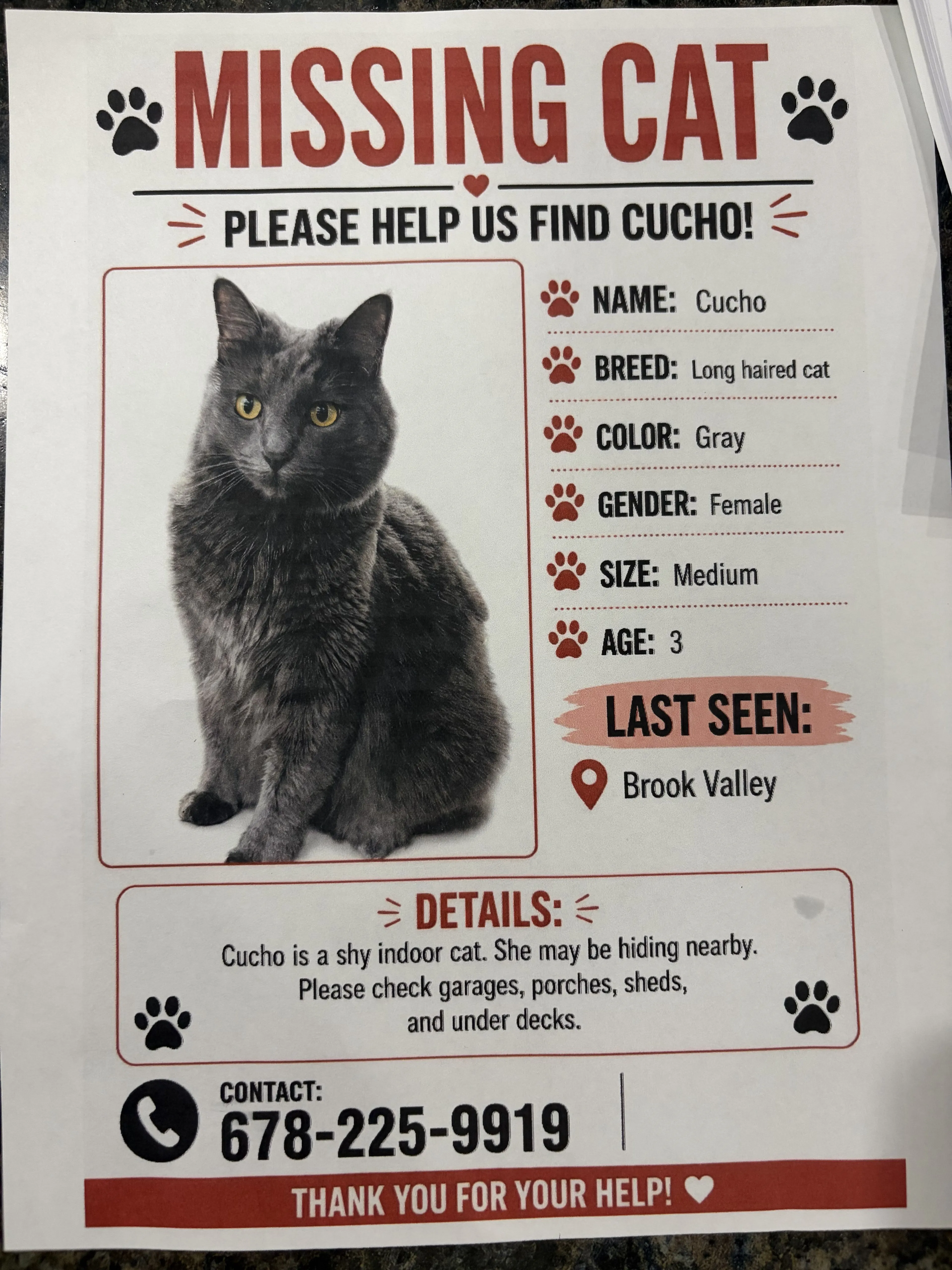 Lost pet