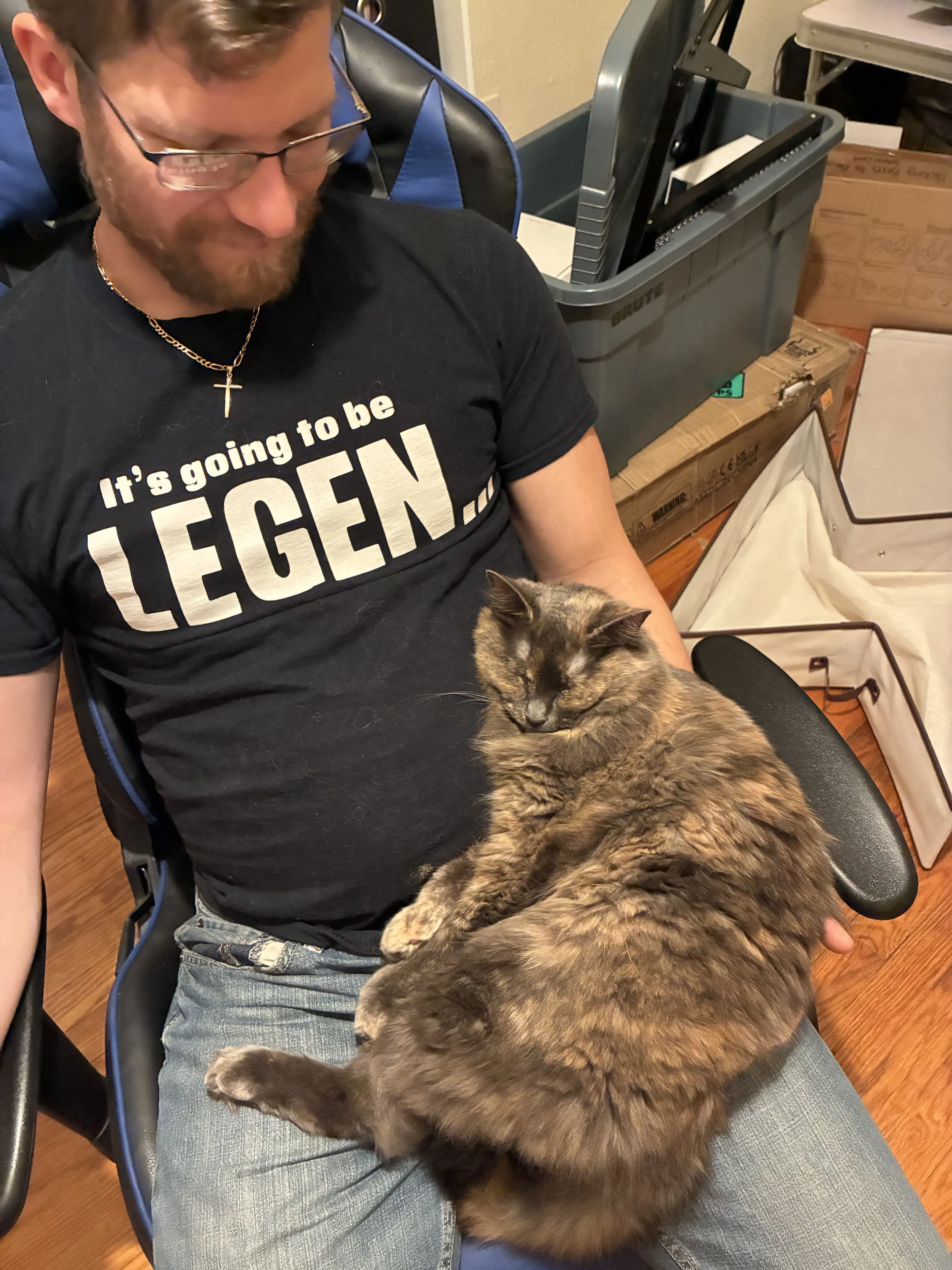 Lost pet-1