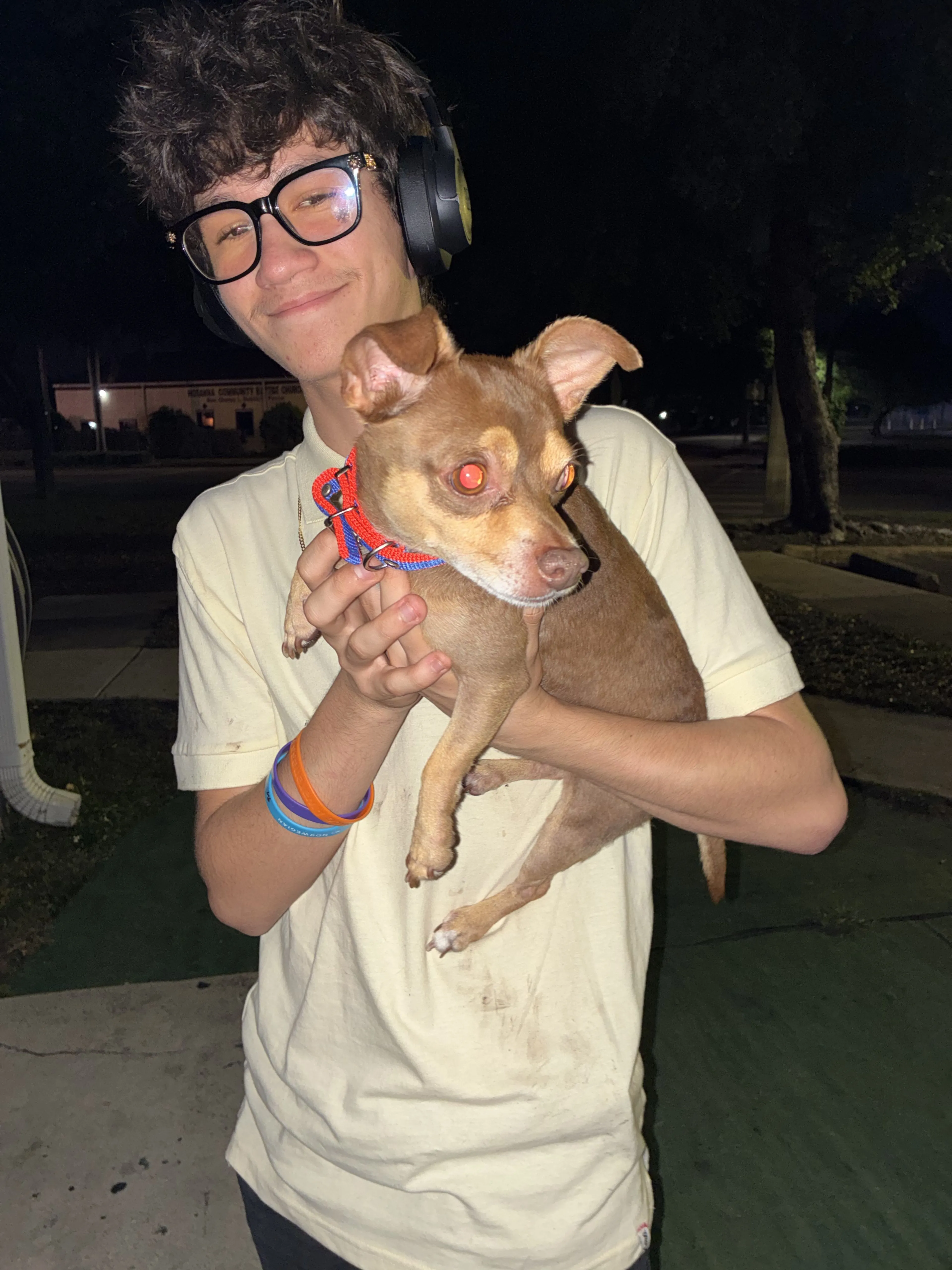 Lost pet
