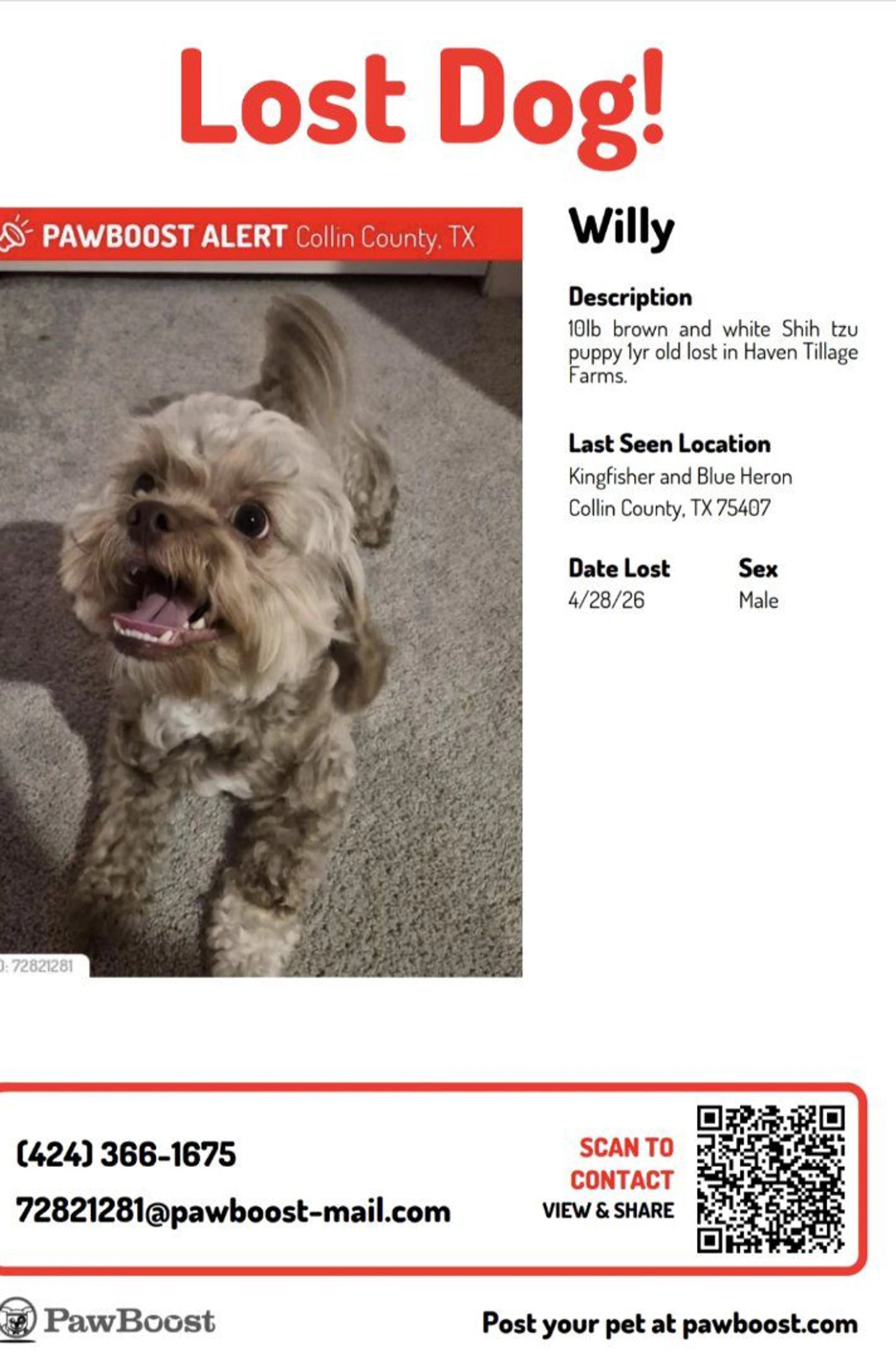 Lost pet-0