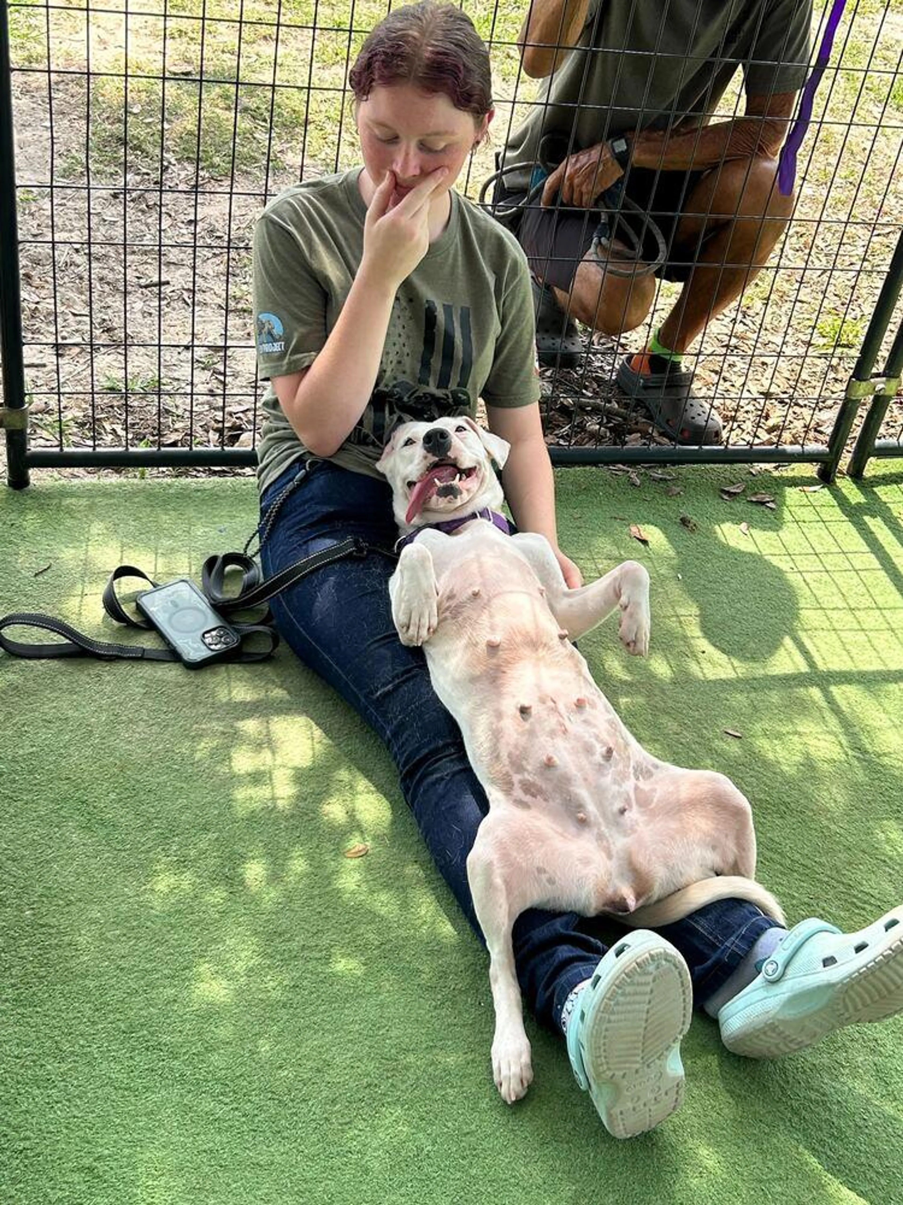Found pet-1