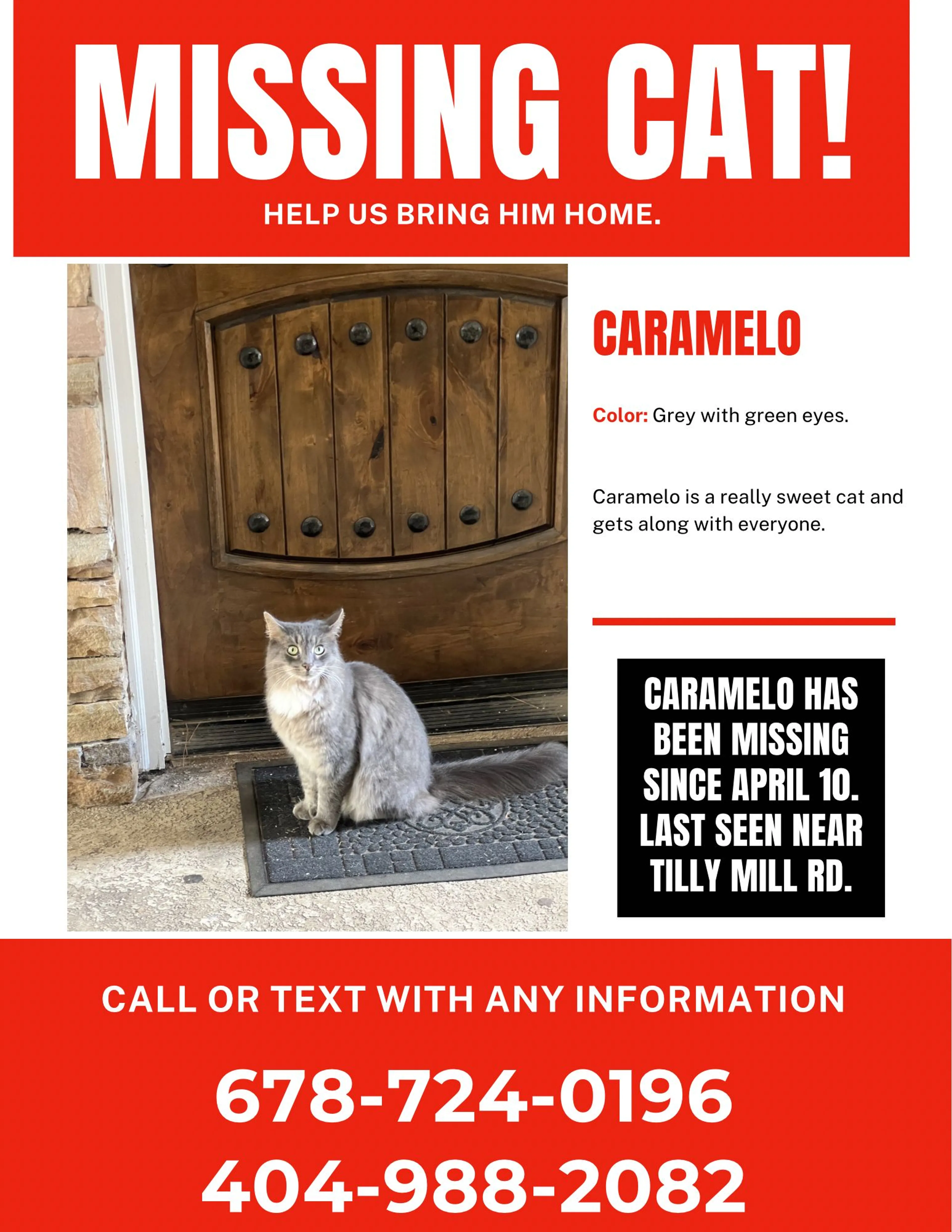 Lost pet