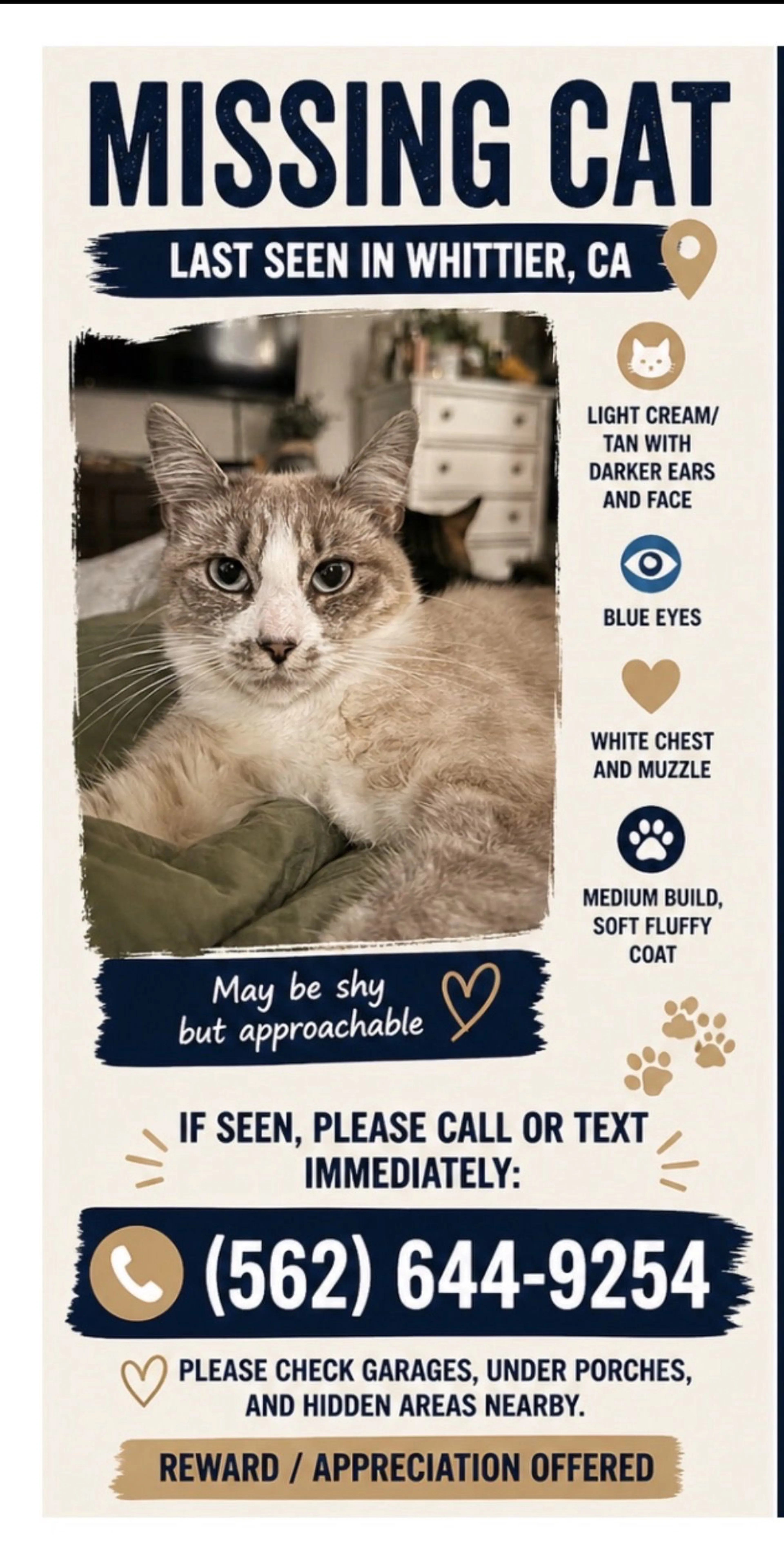 Lost pet