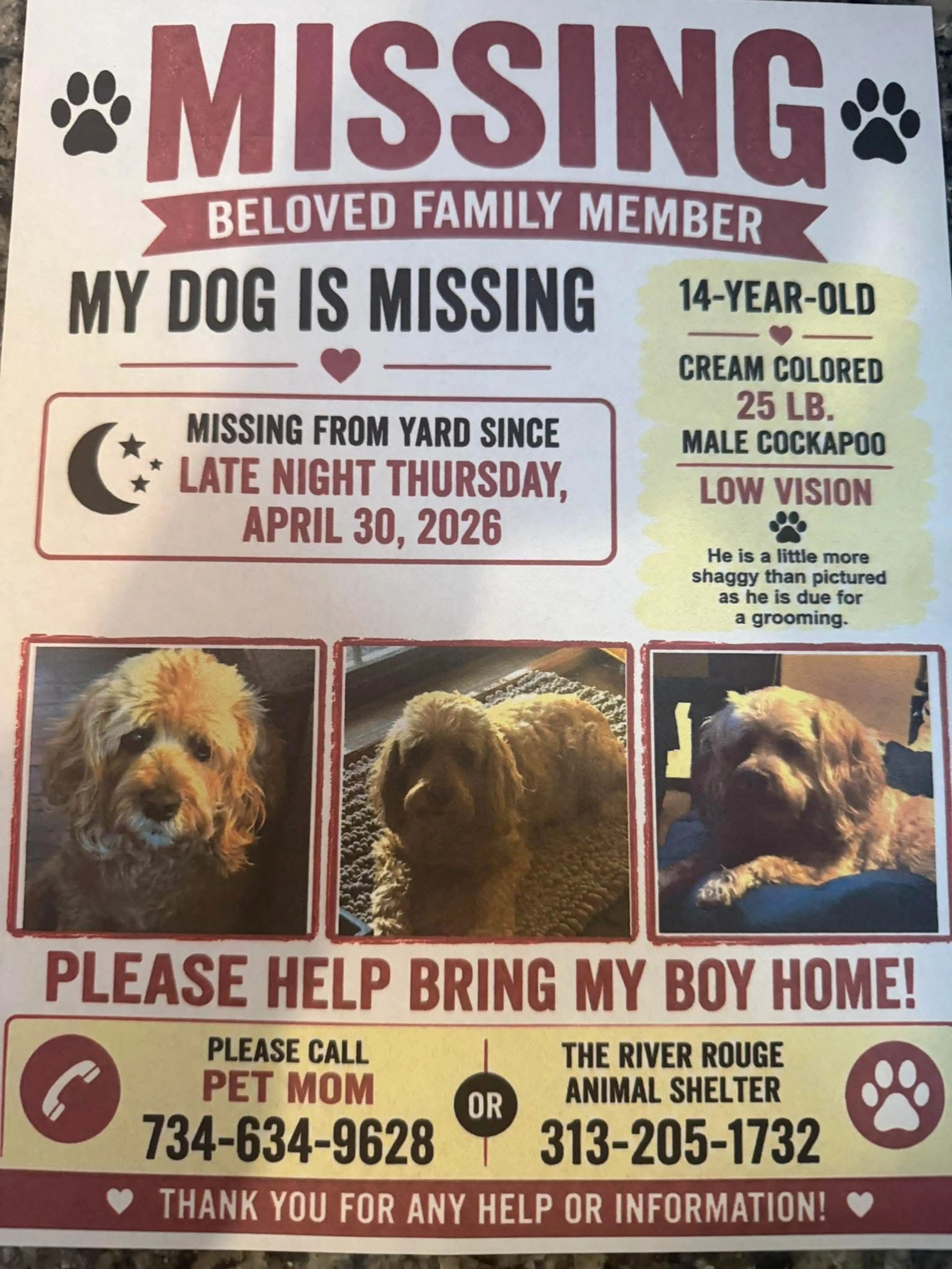 Lost pet