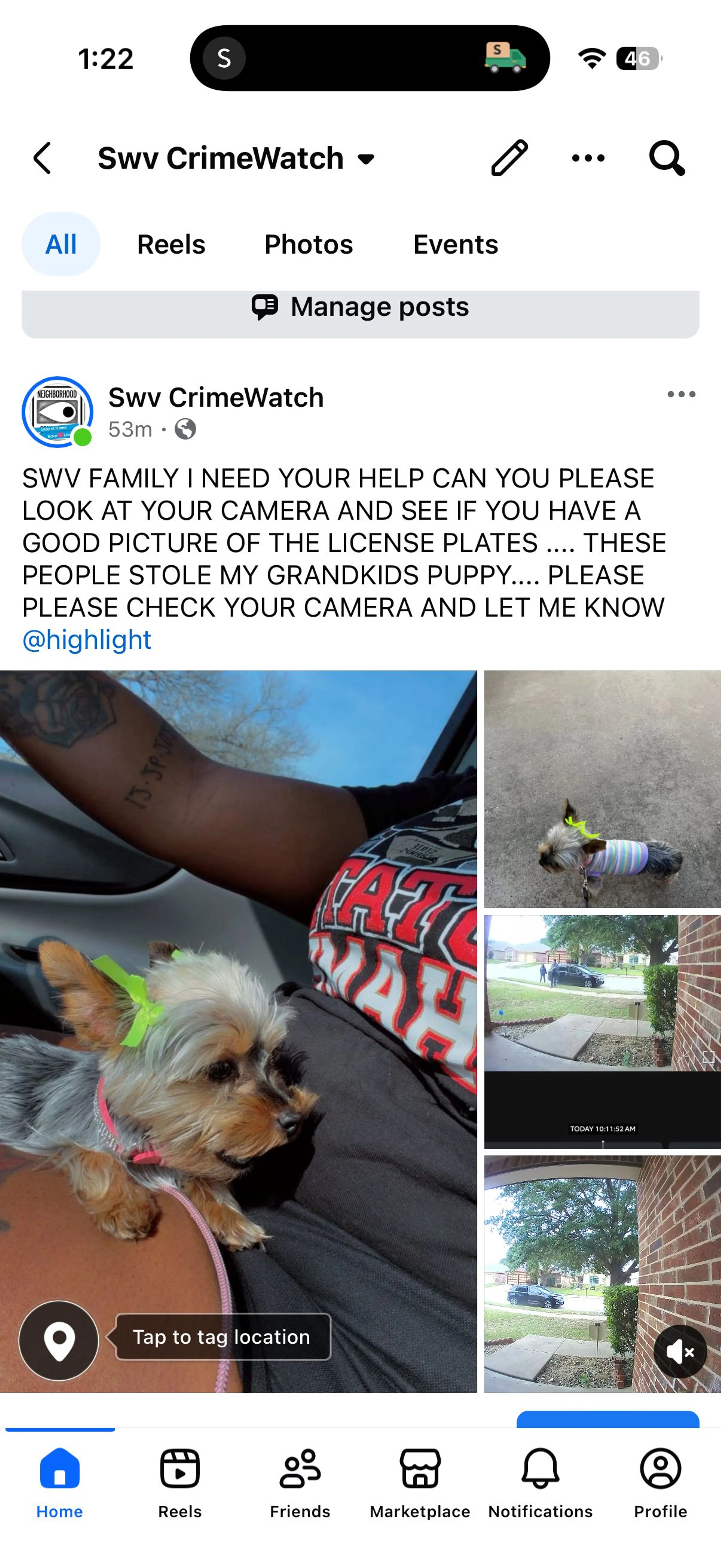 Lost pet
