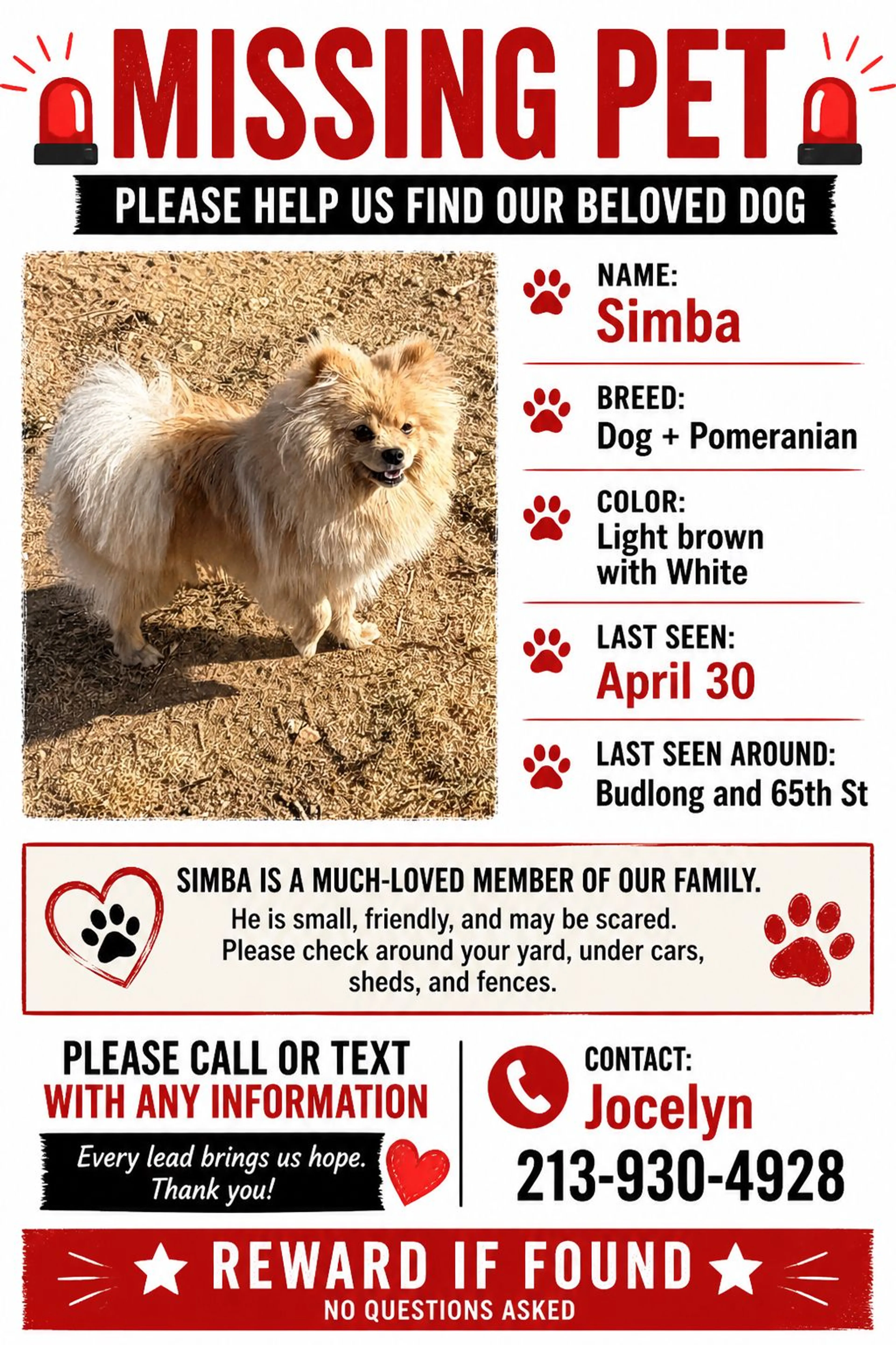 Lost pet