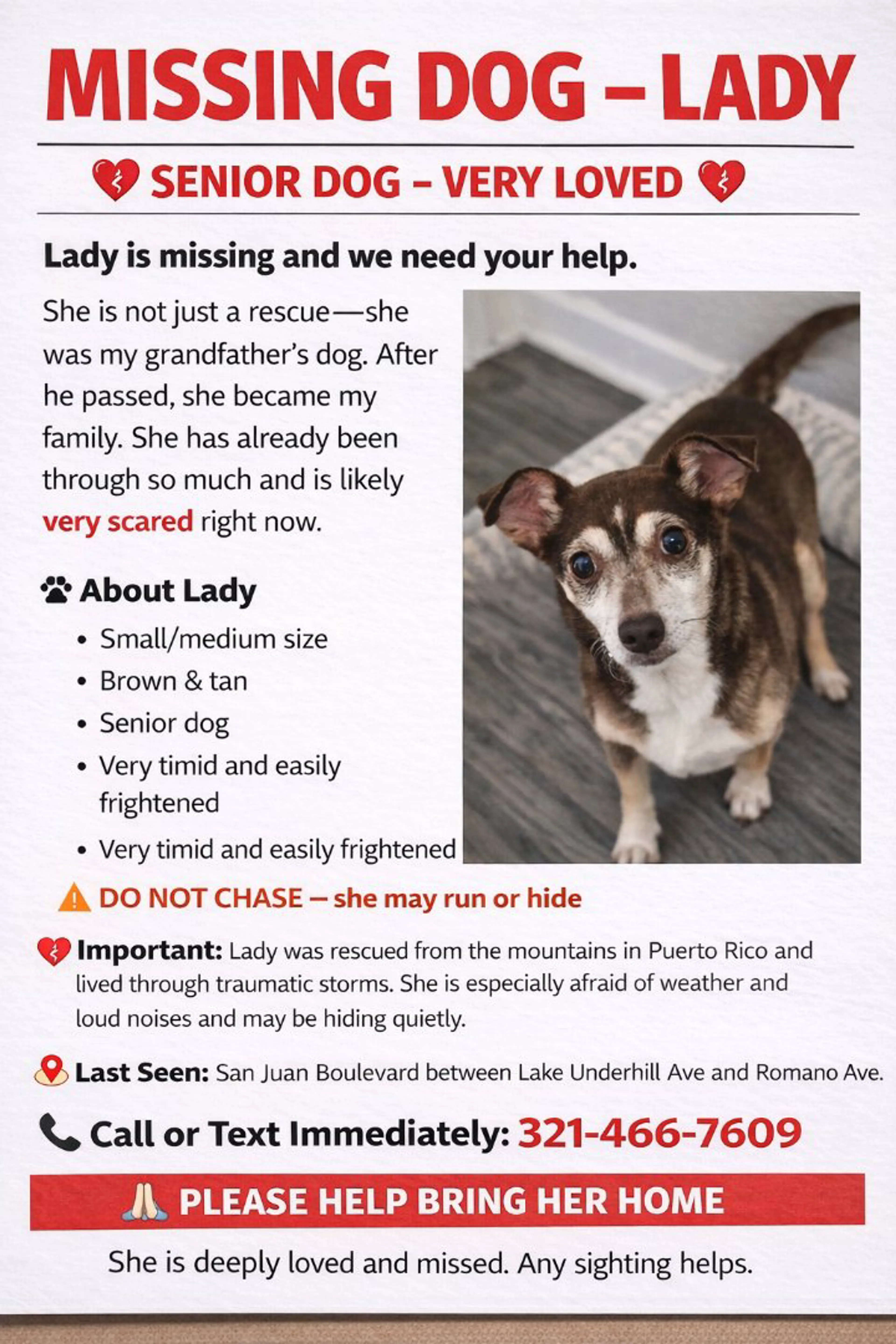 Lost pet