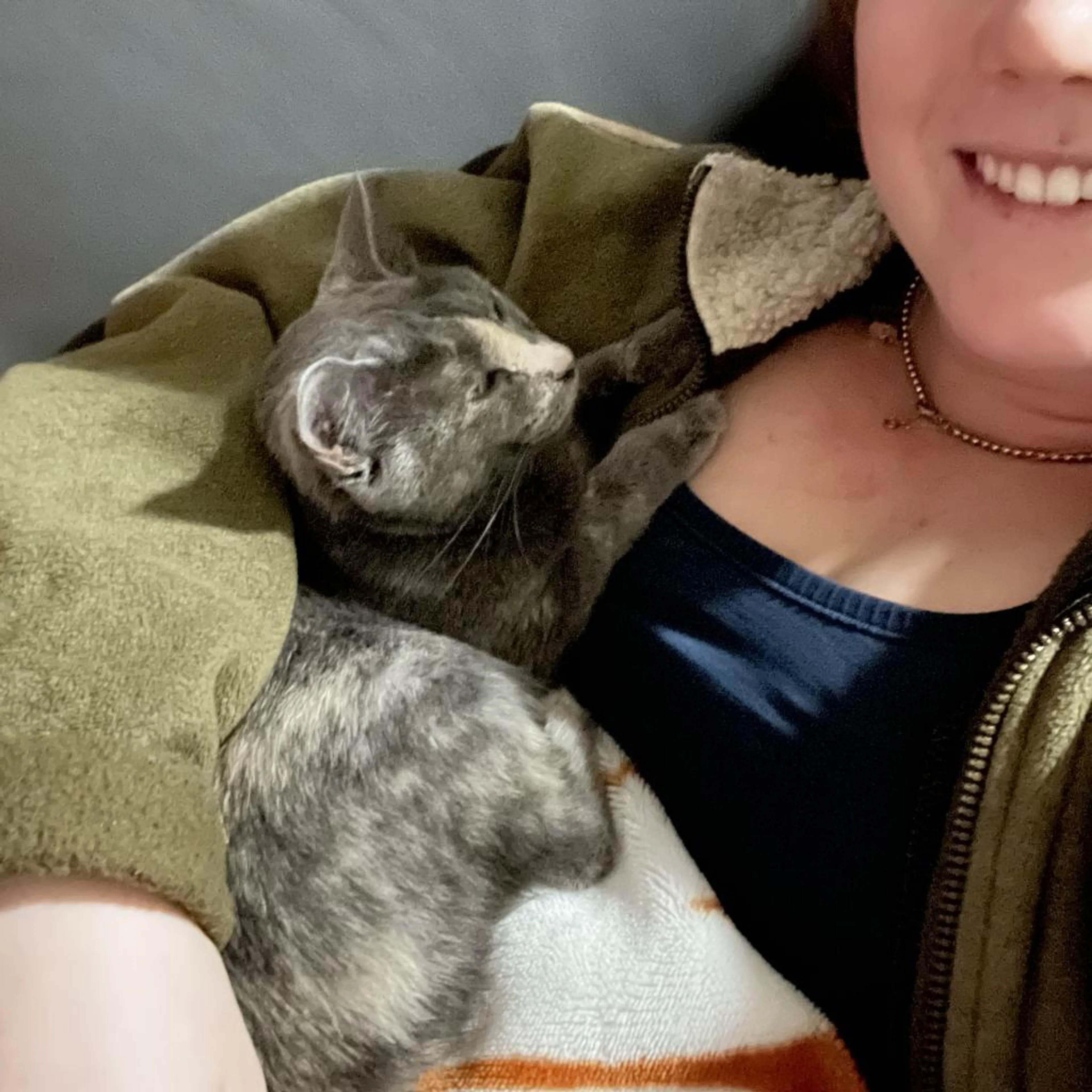 Found pet-3