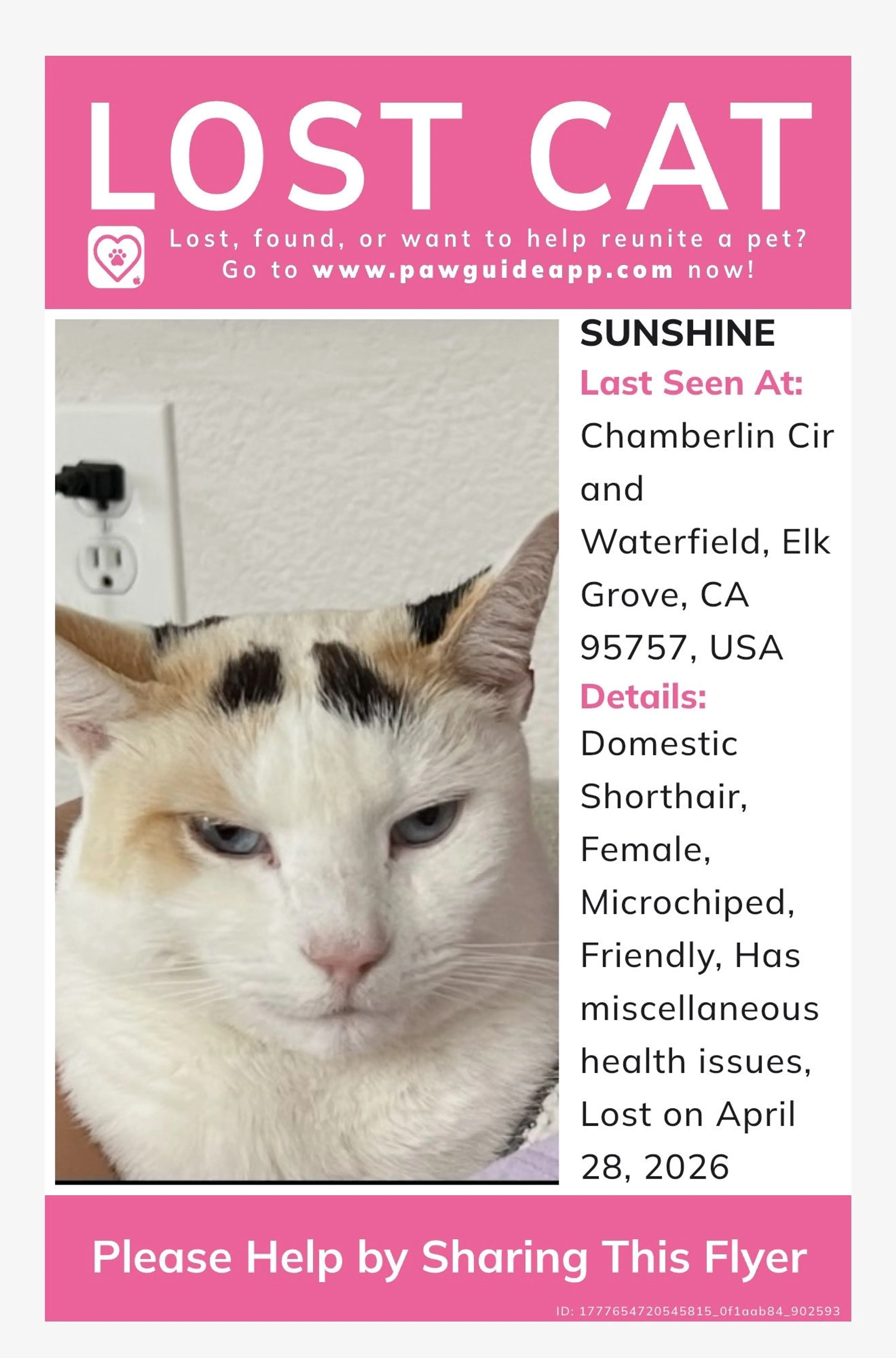 Lost pet