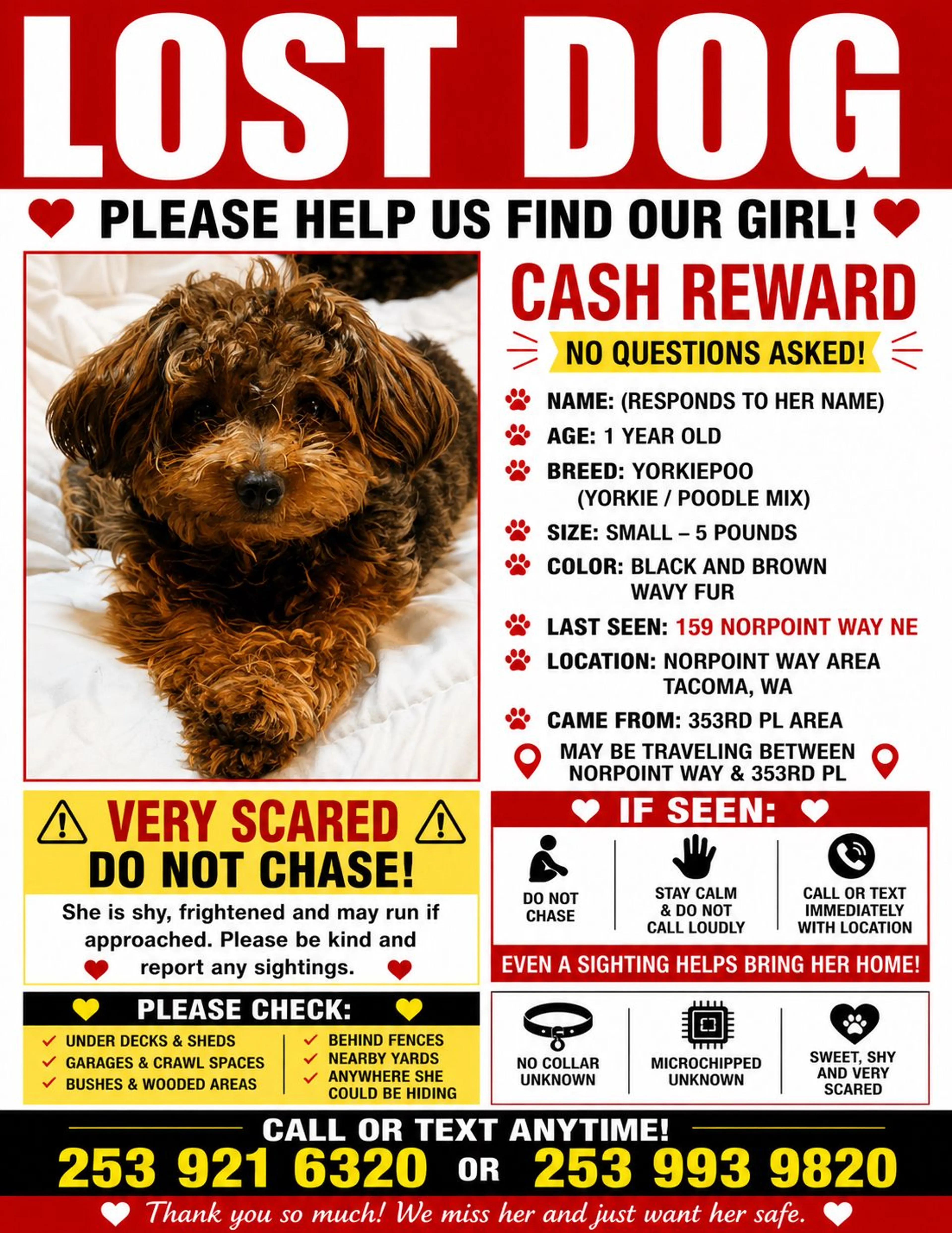 Lost pet