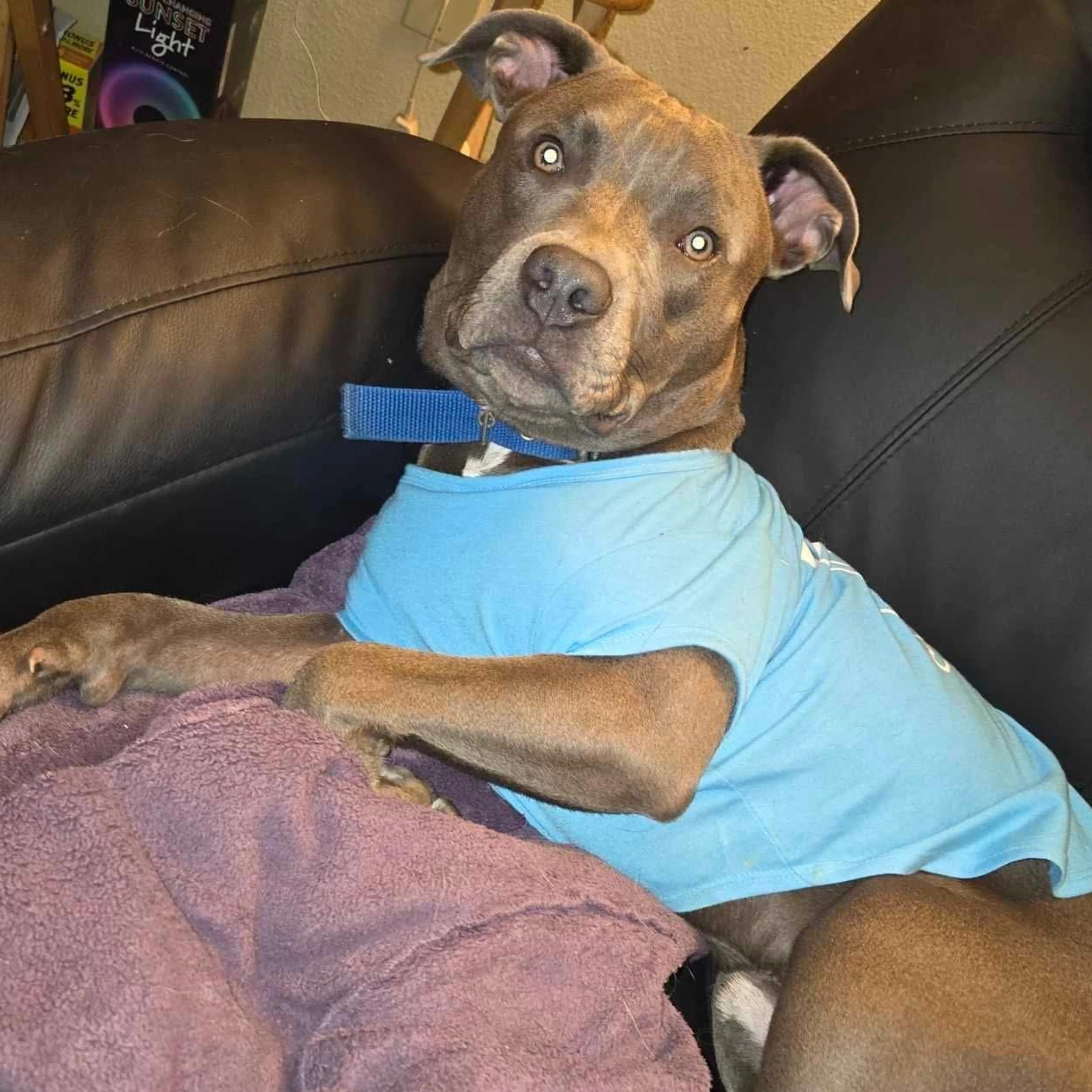 -3