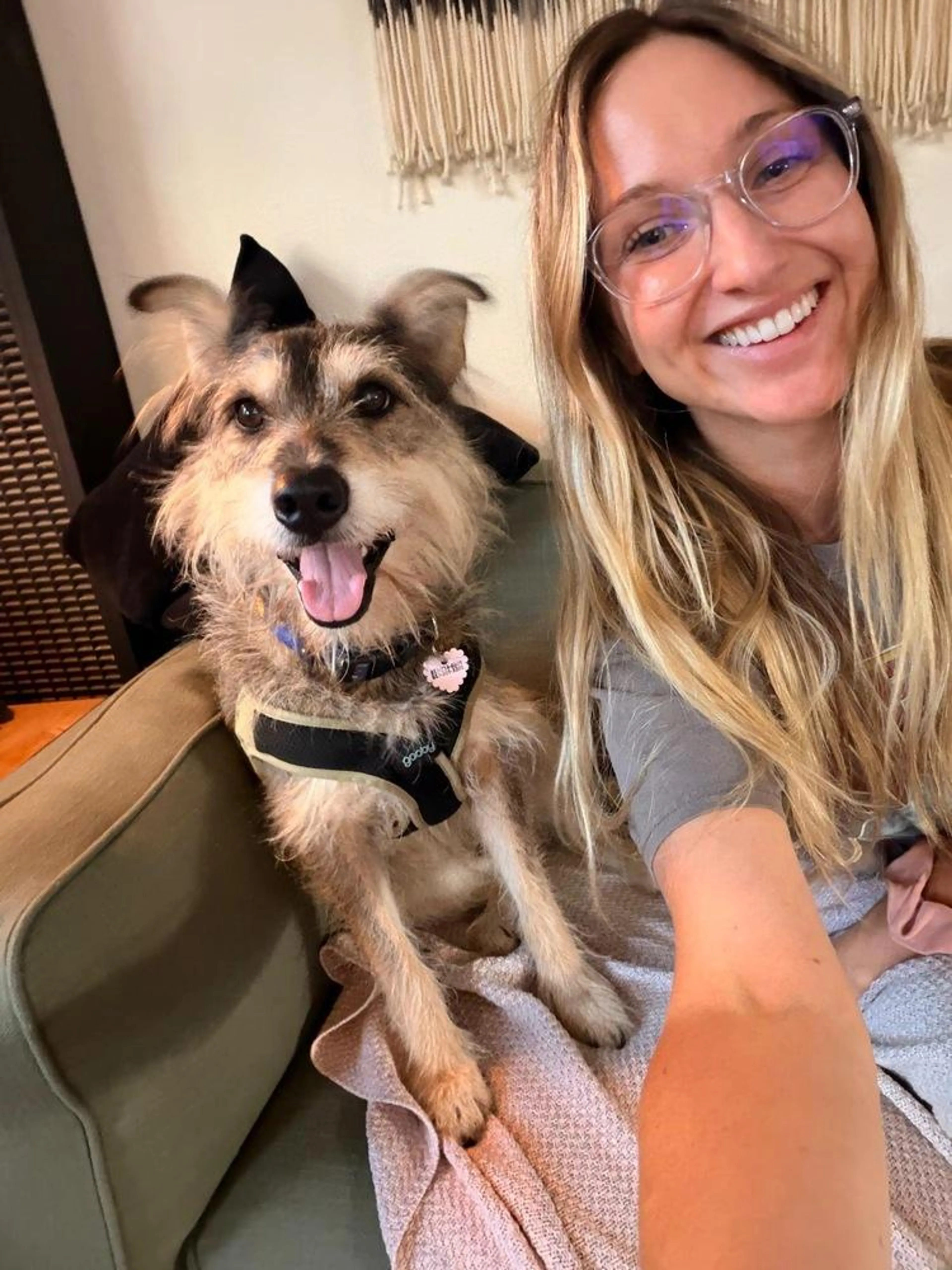 Found pet-3