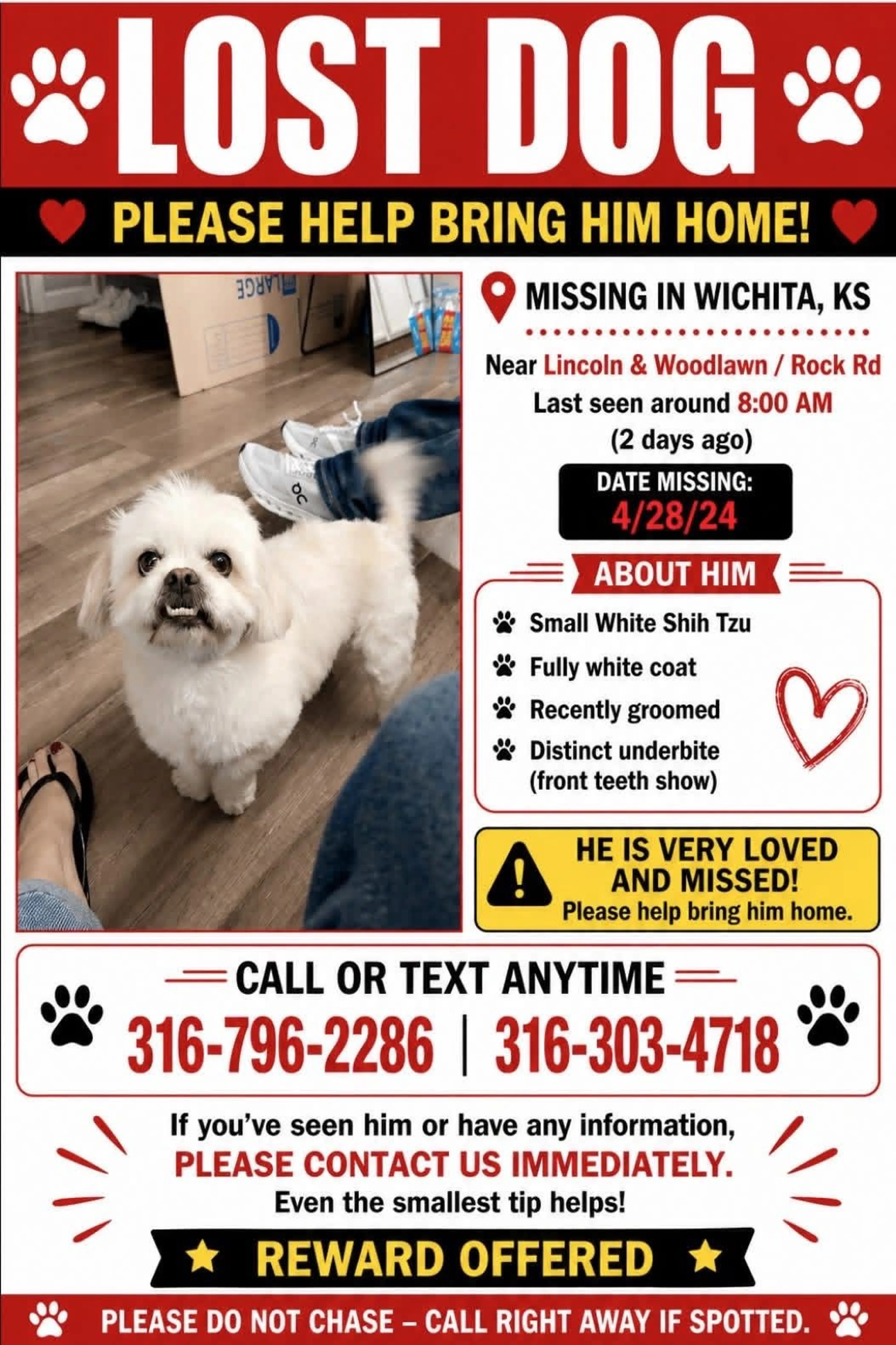 Lost pet