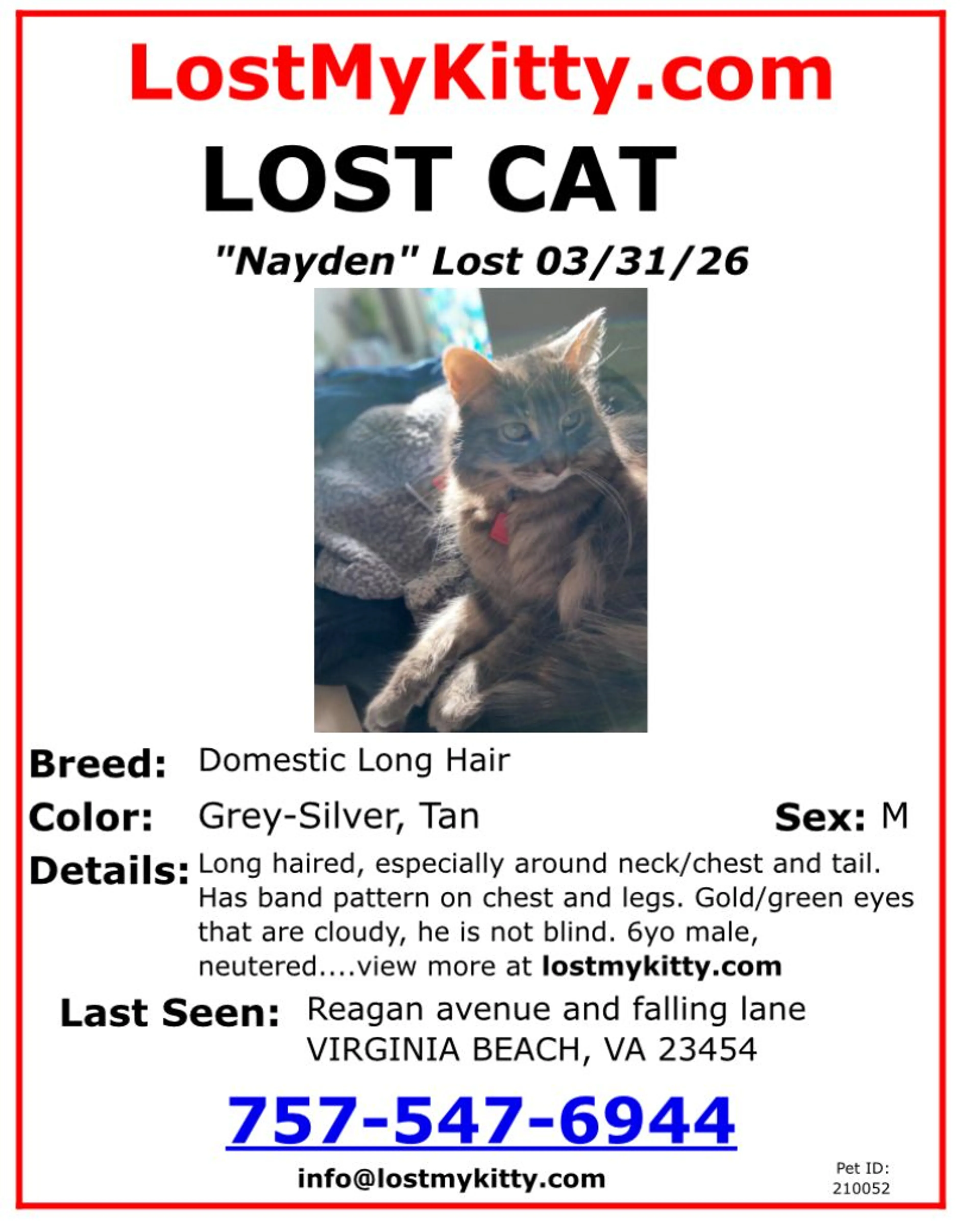 Lost pet-1