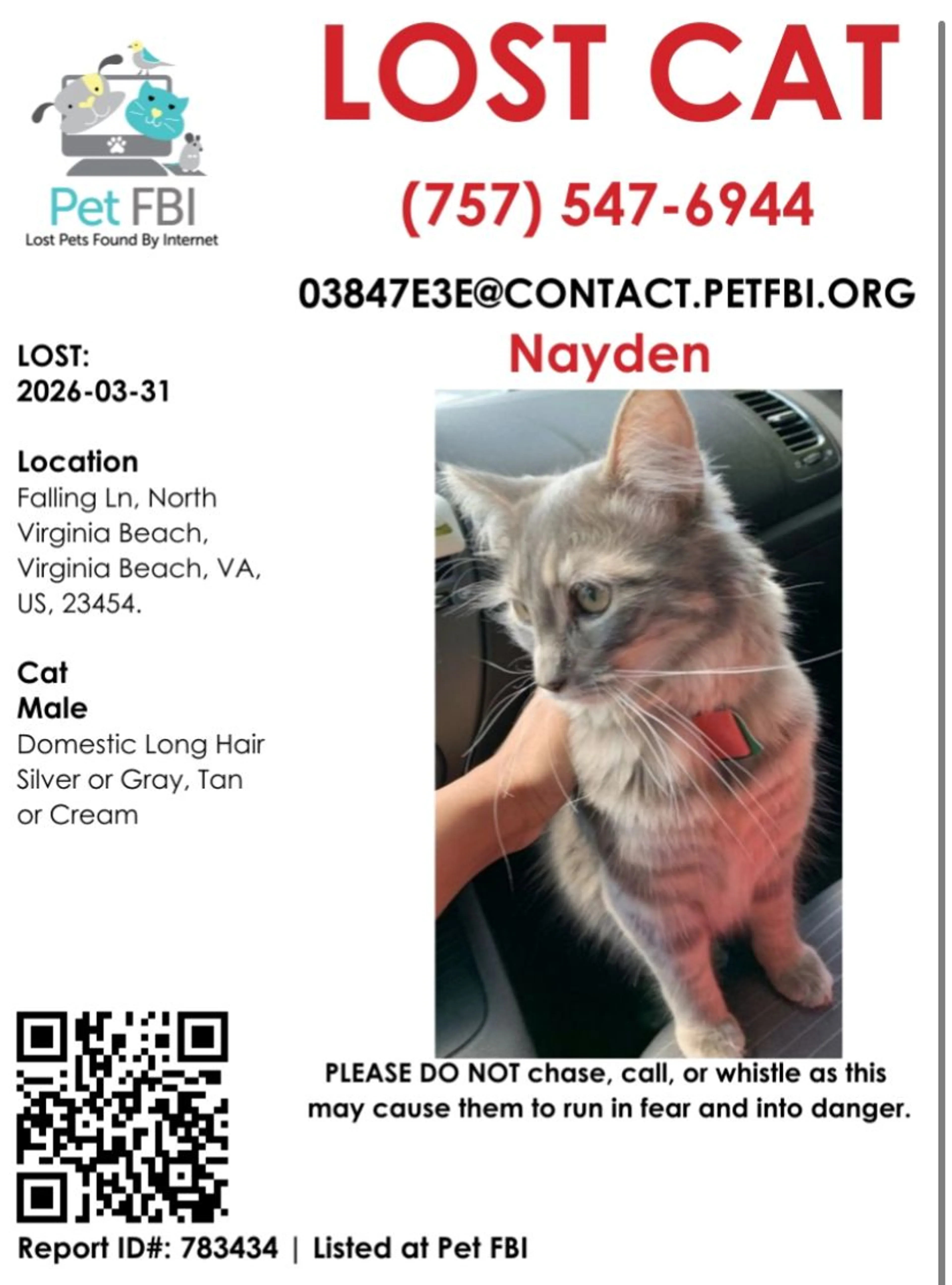 Lost pet-0