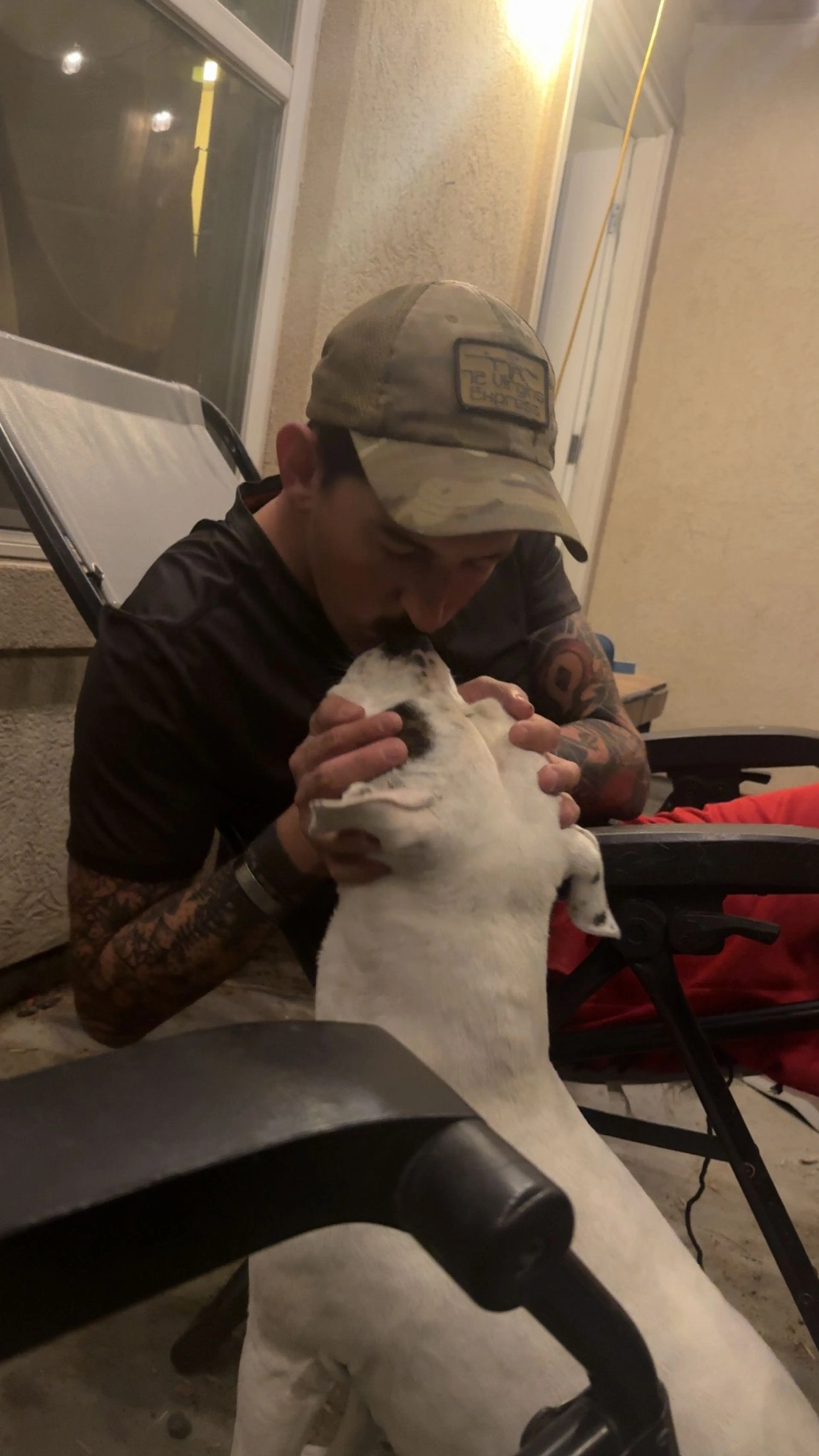 Lost pet-1