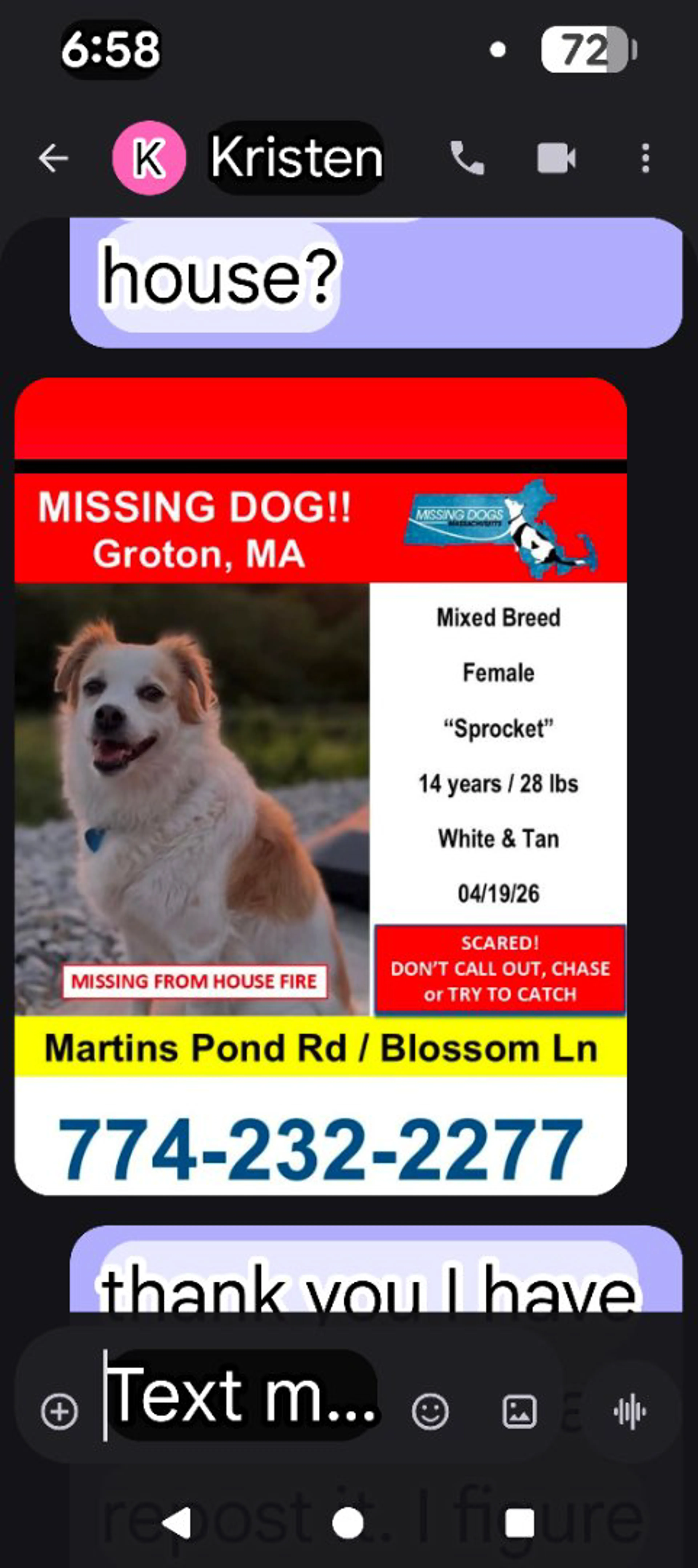 Lost pet-0