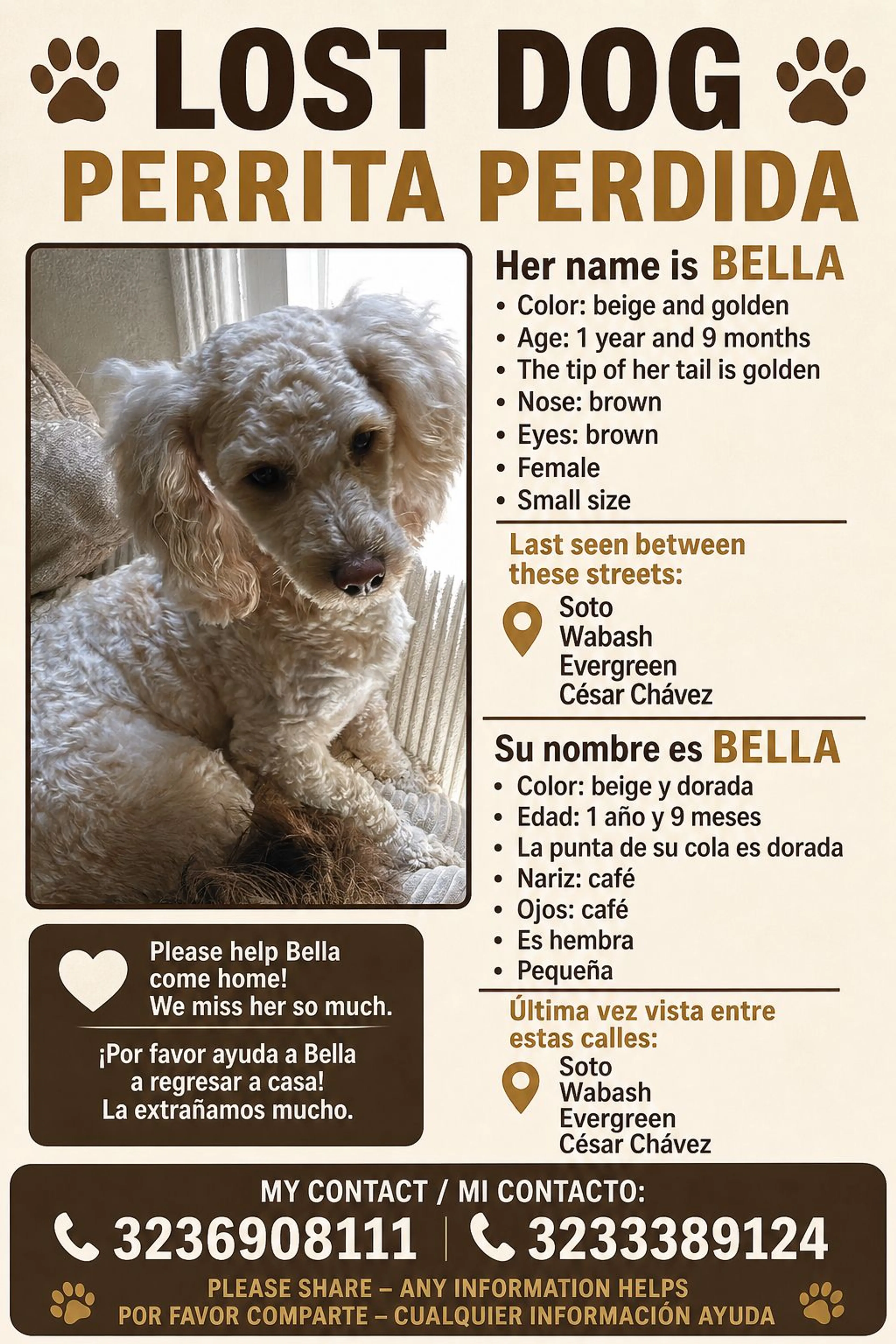 Lost pet
