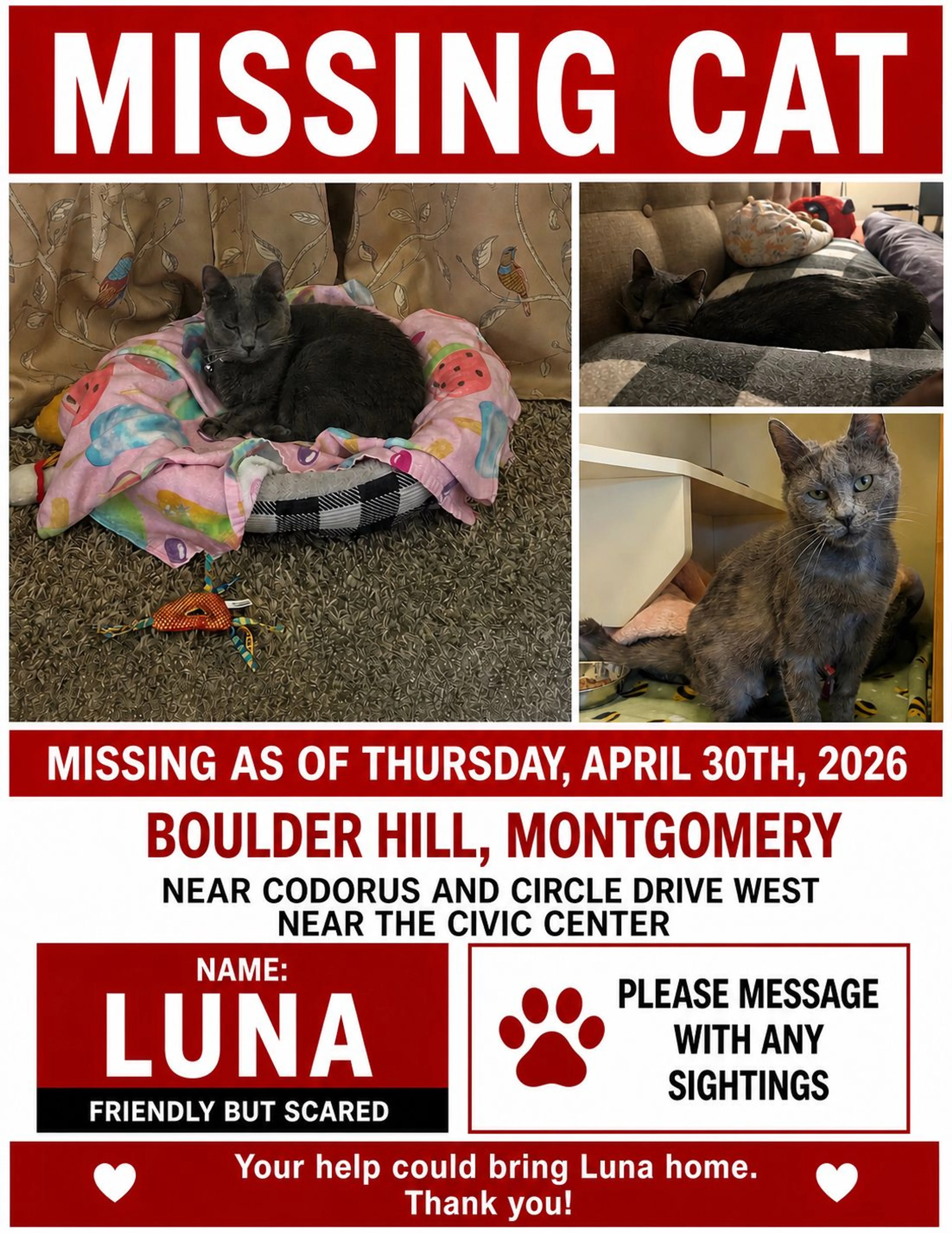 Lost pet