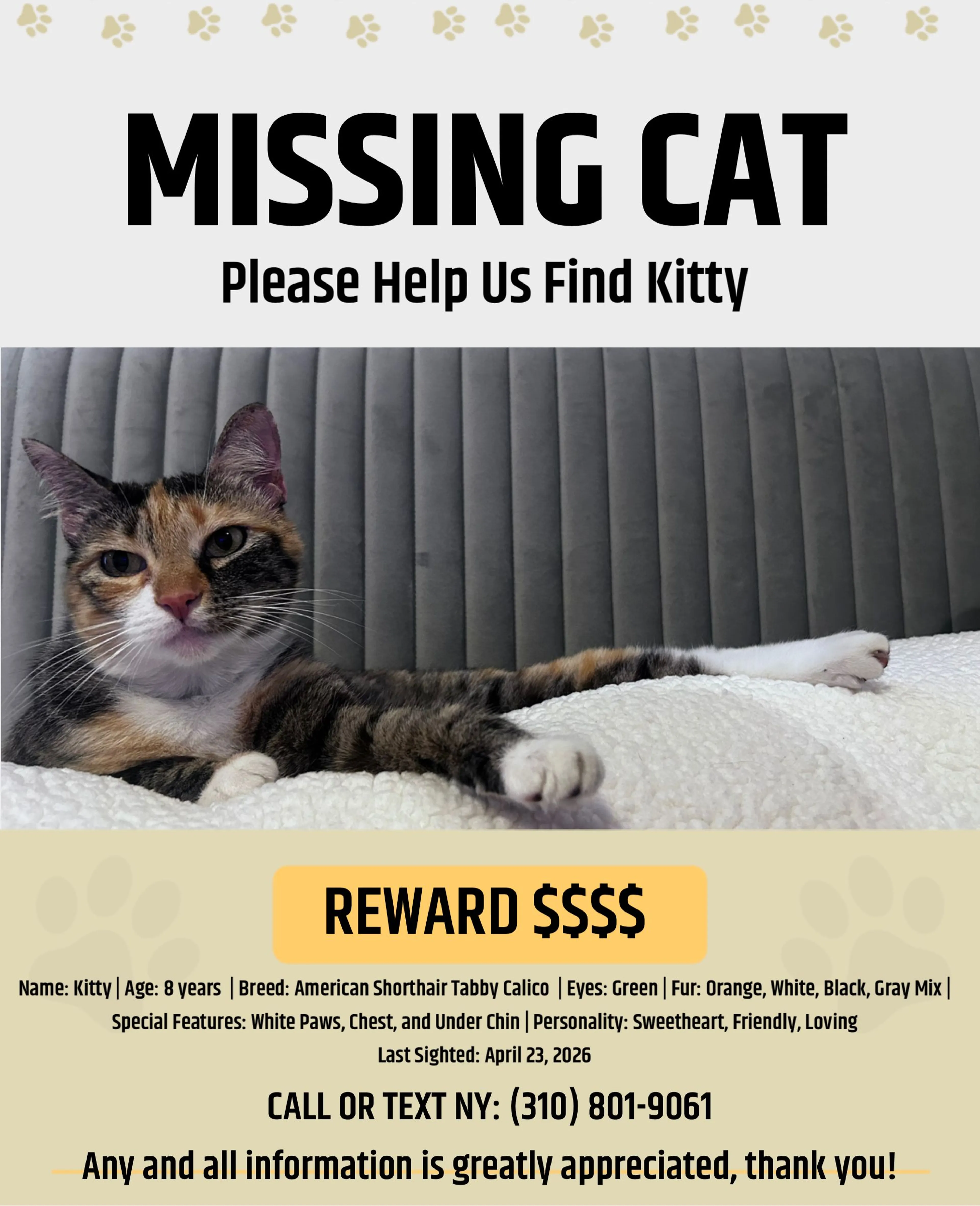Lost pet-1