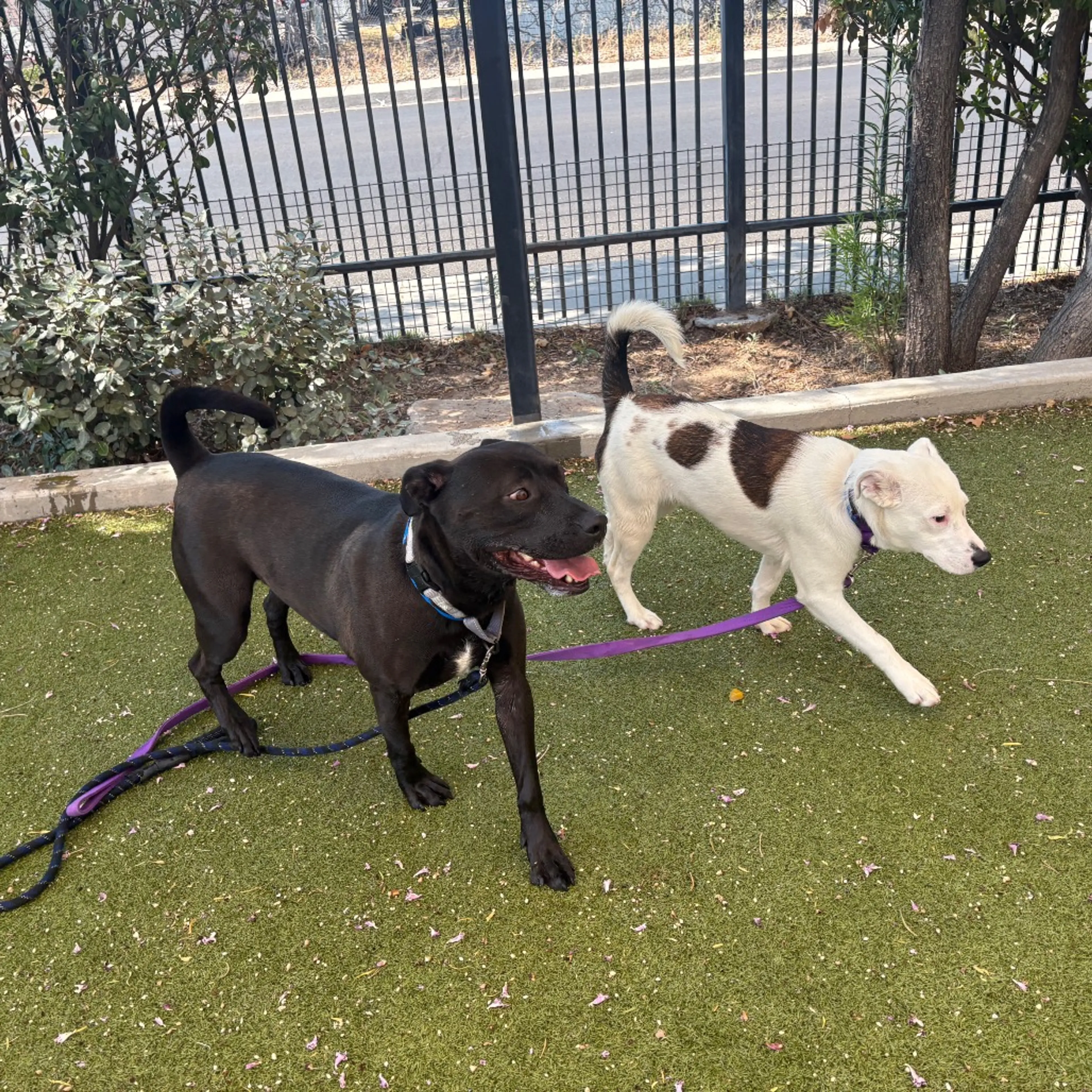 -18