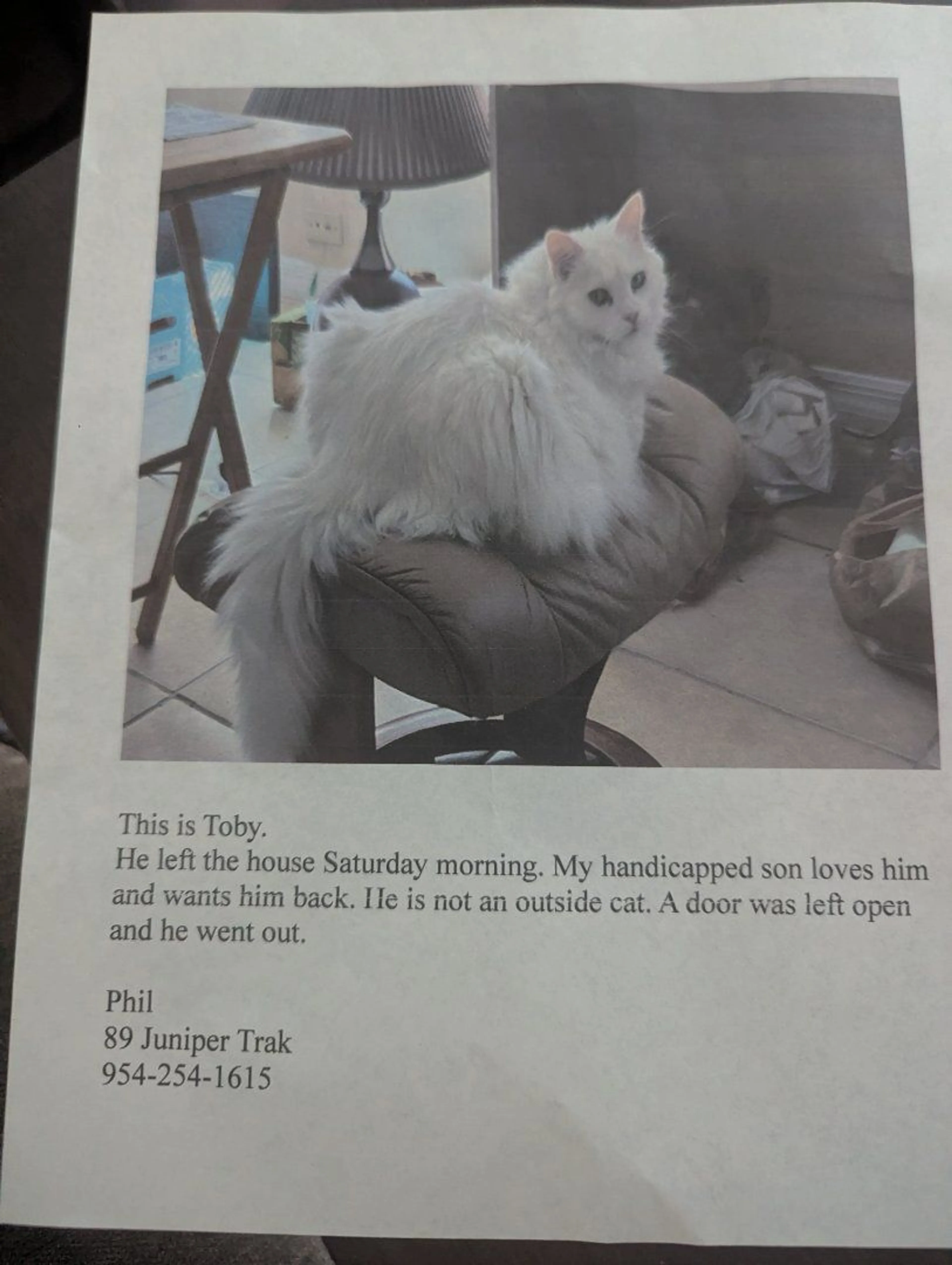 Lost pet