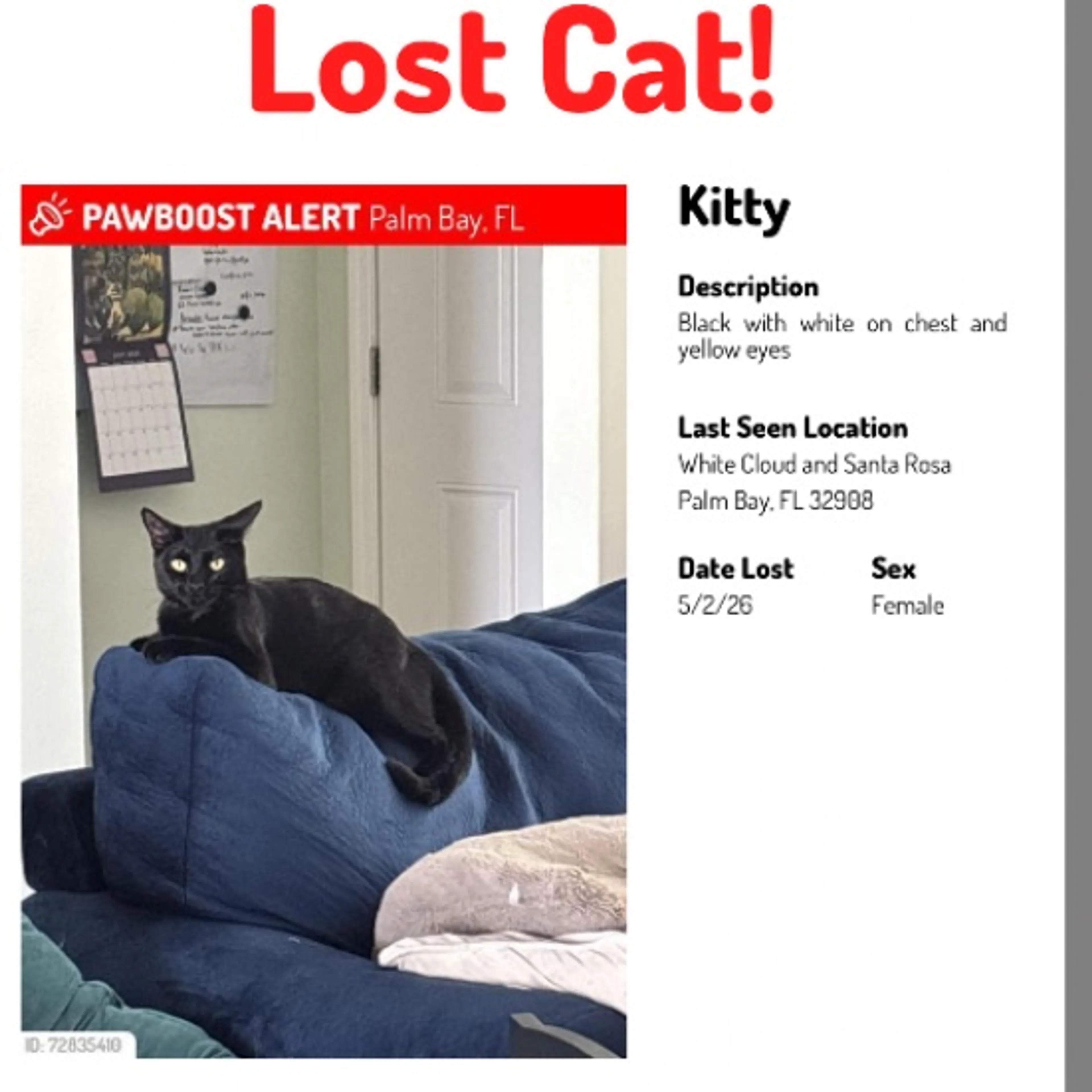Lost pet
