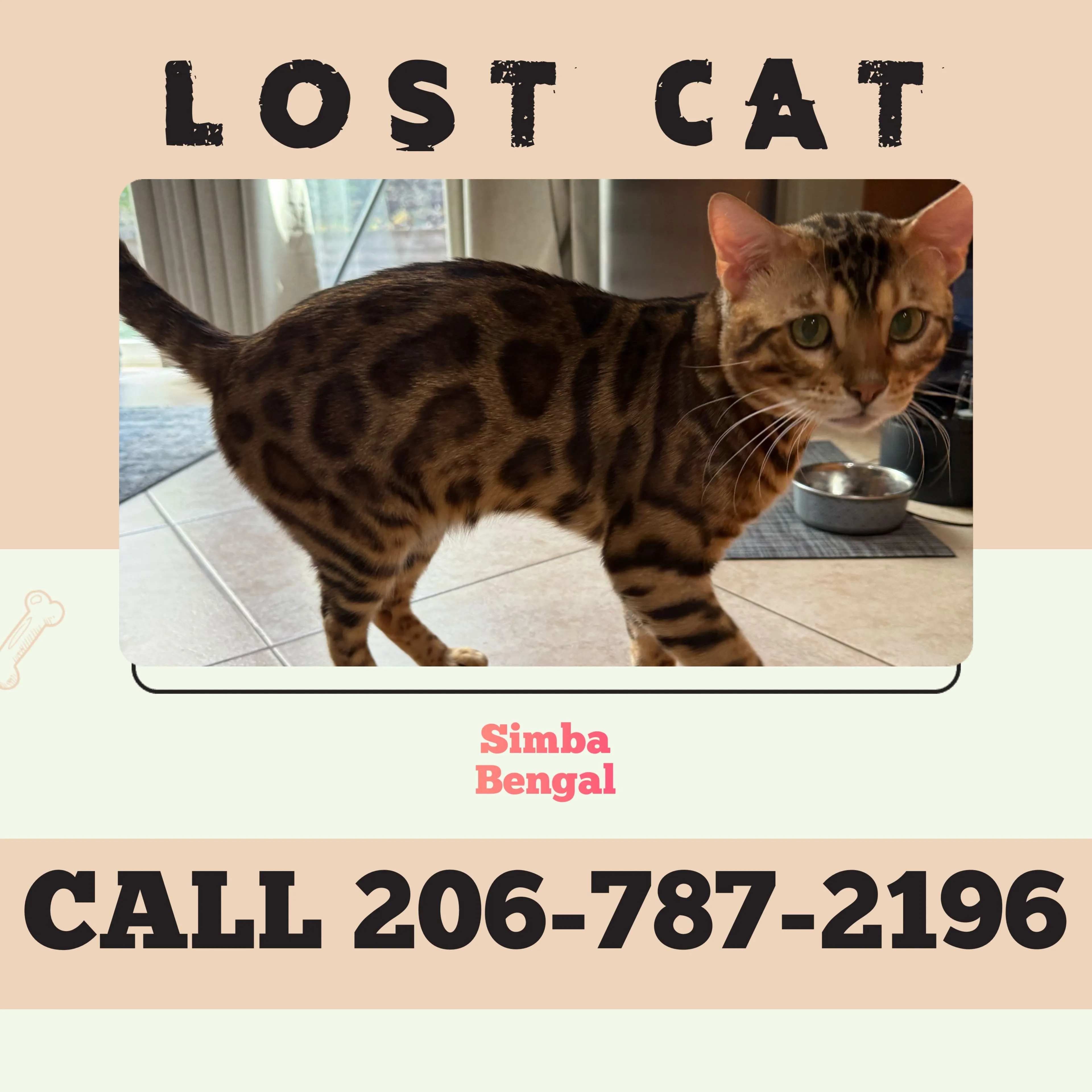 Lost pet