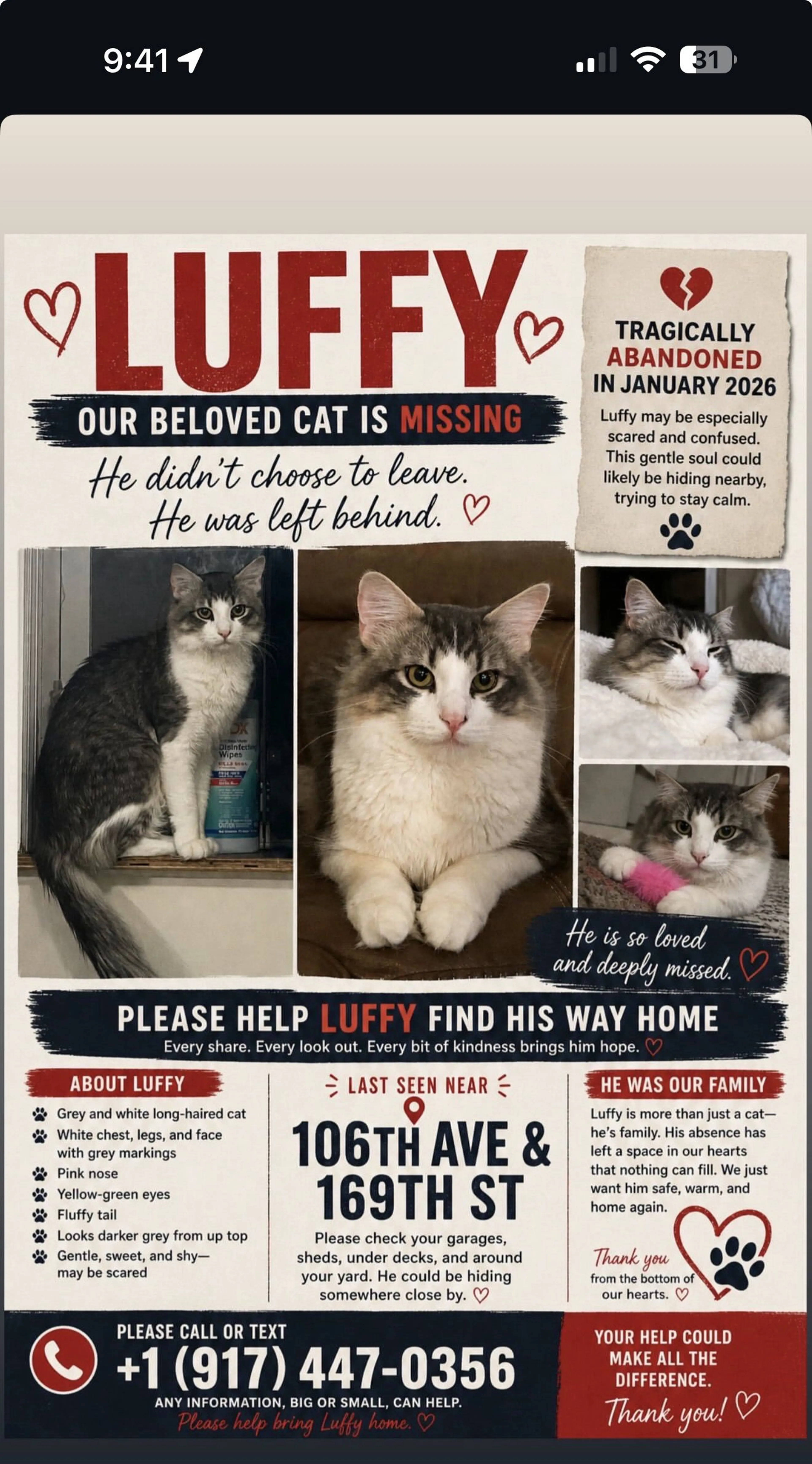 Lost pet