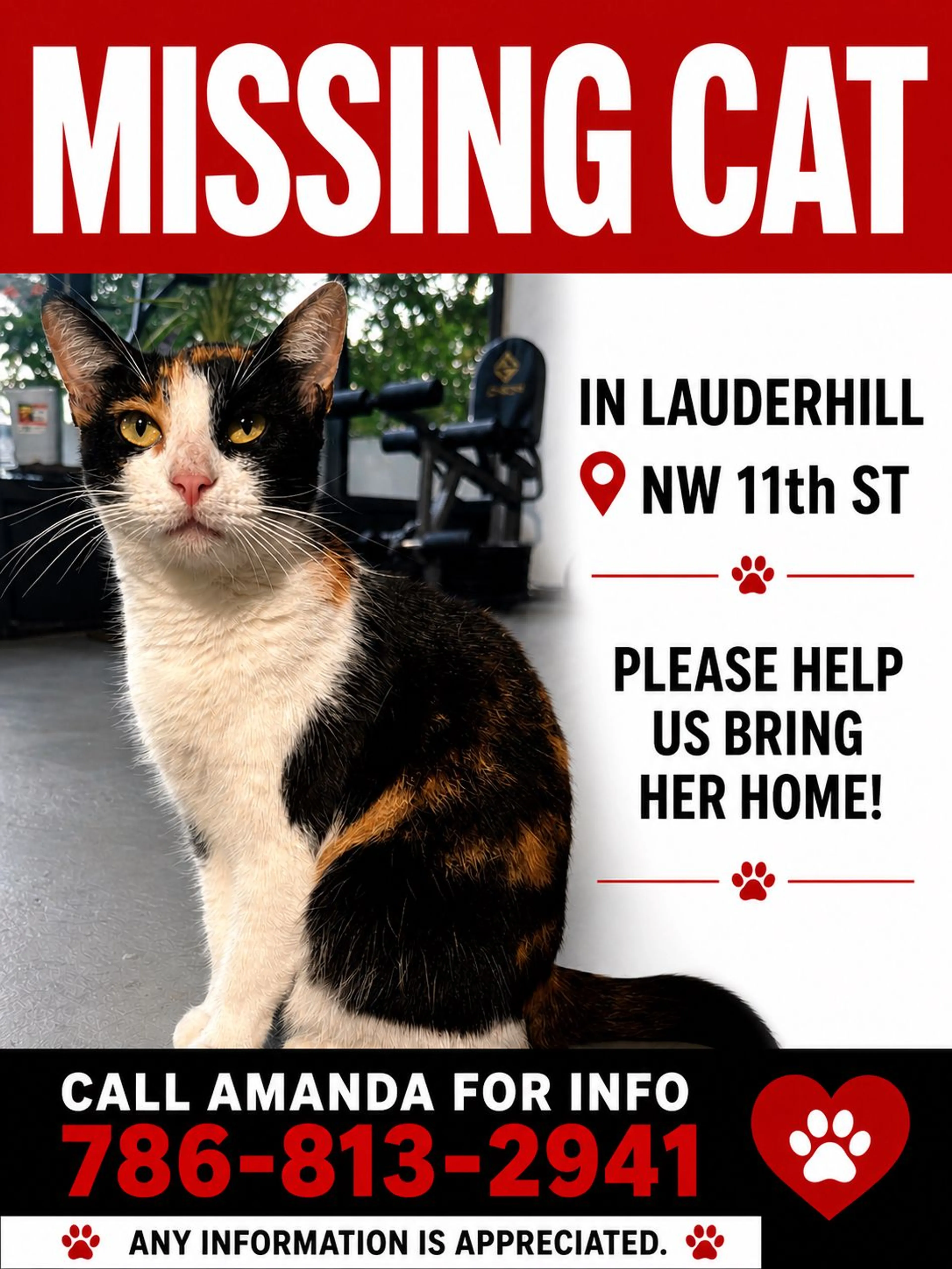 Lost pet