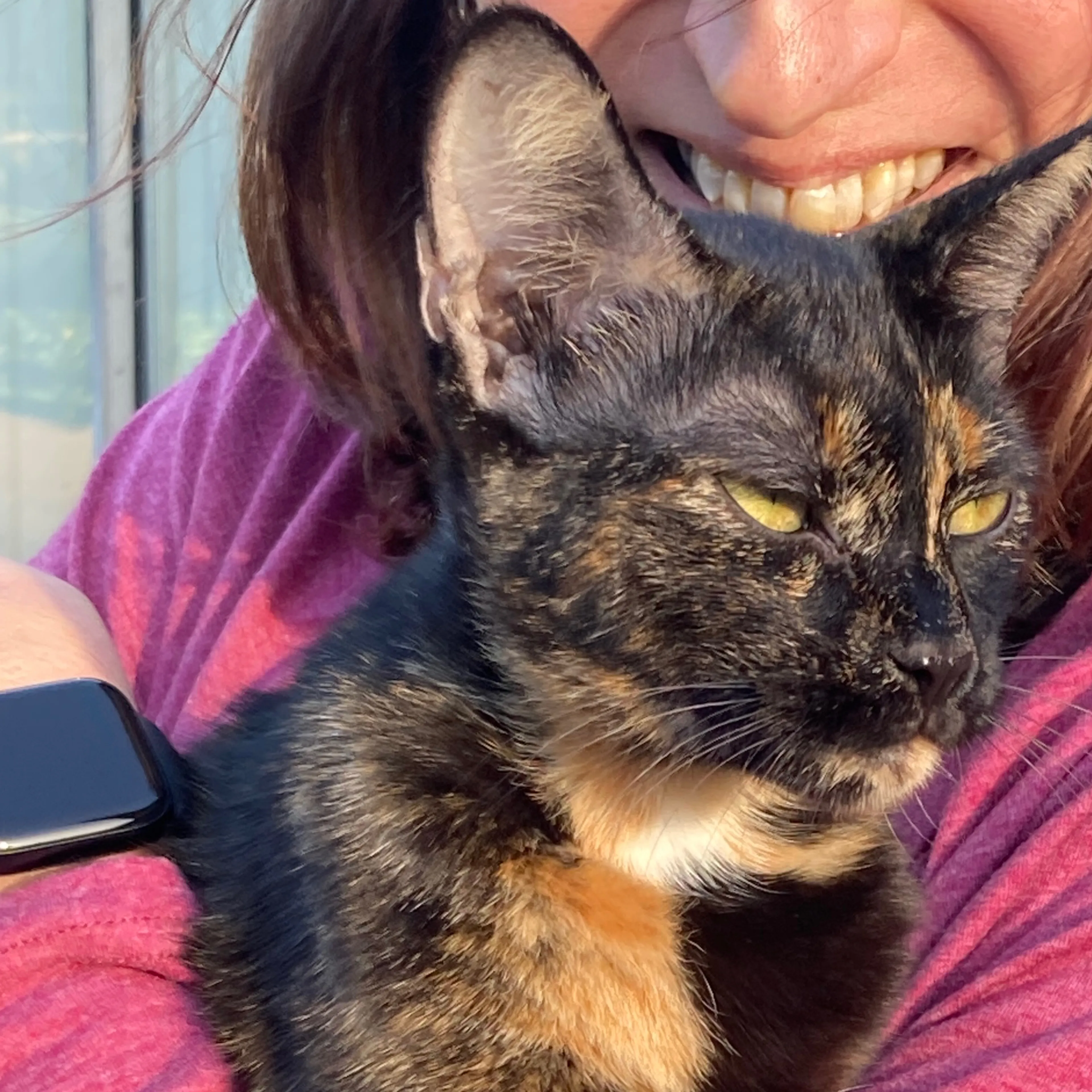 Found pet-2